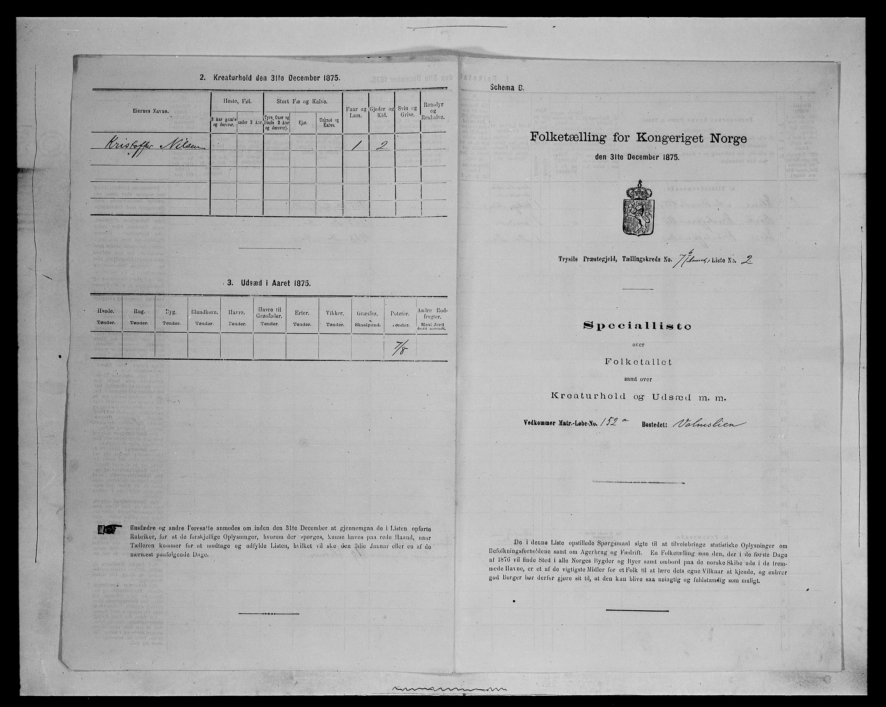 SAH, 1875 census for 0428P Trysil, 1875, p. 1434