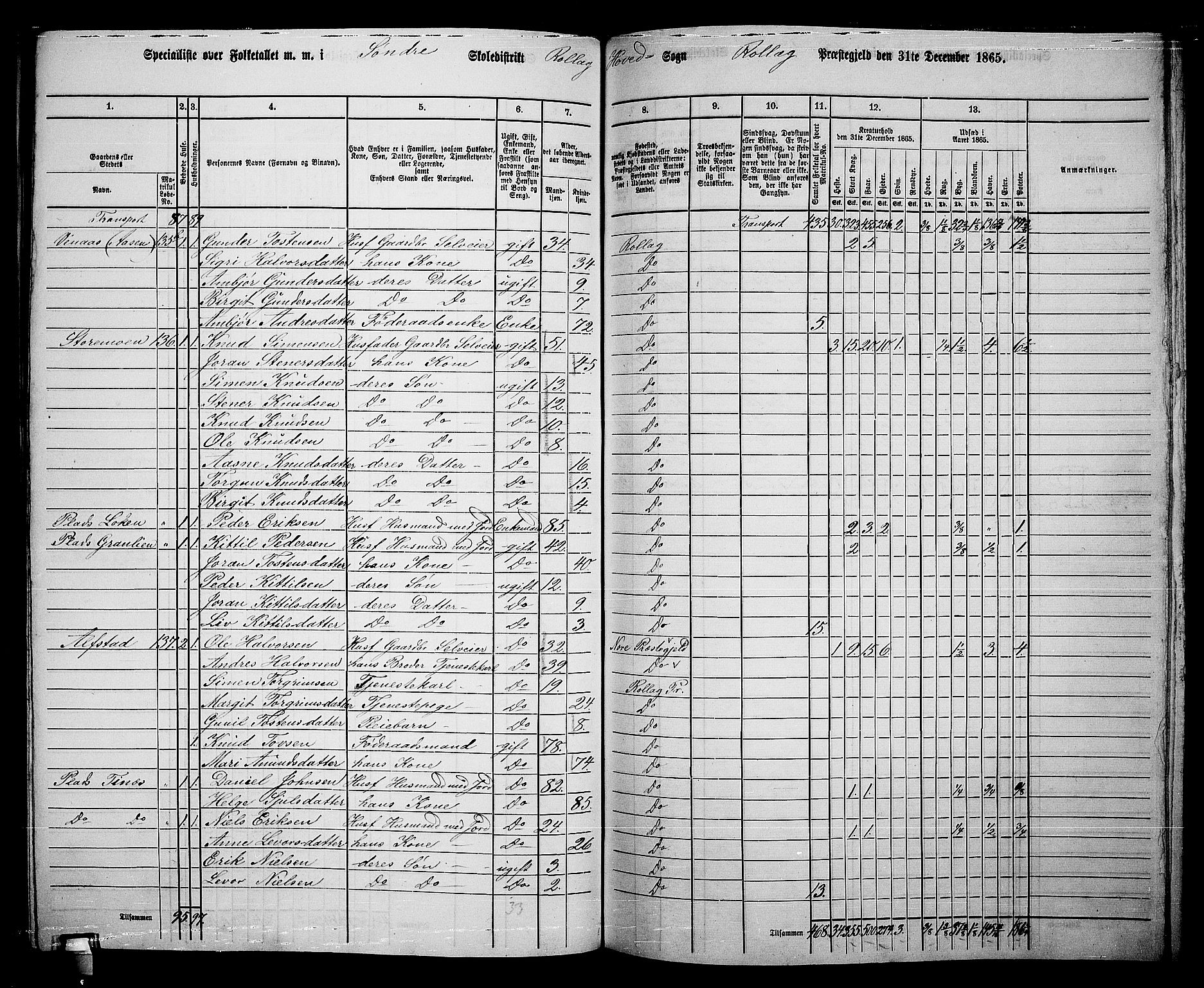 RA, 1865 census for Rollag, 1865, p. 23