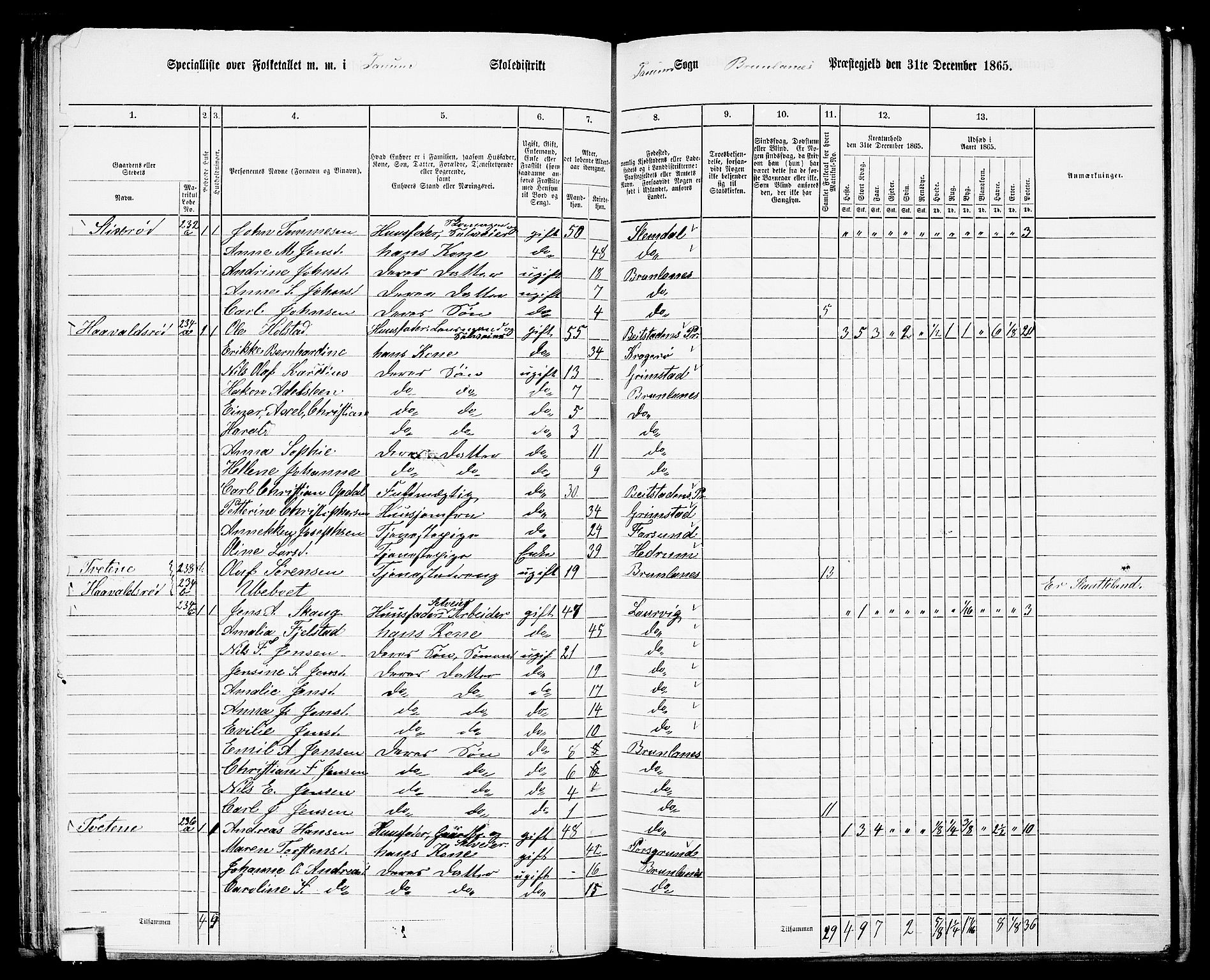 RA, 1865 census for Brunlanes, 1865, p. 51