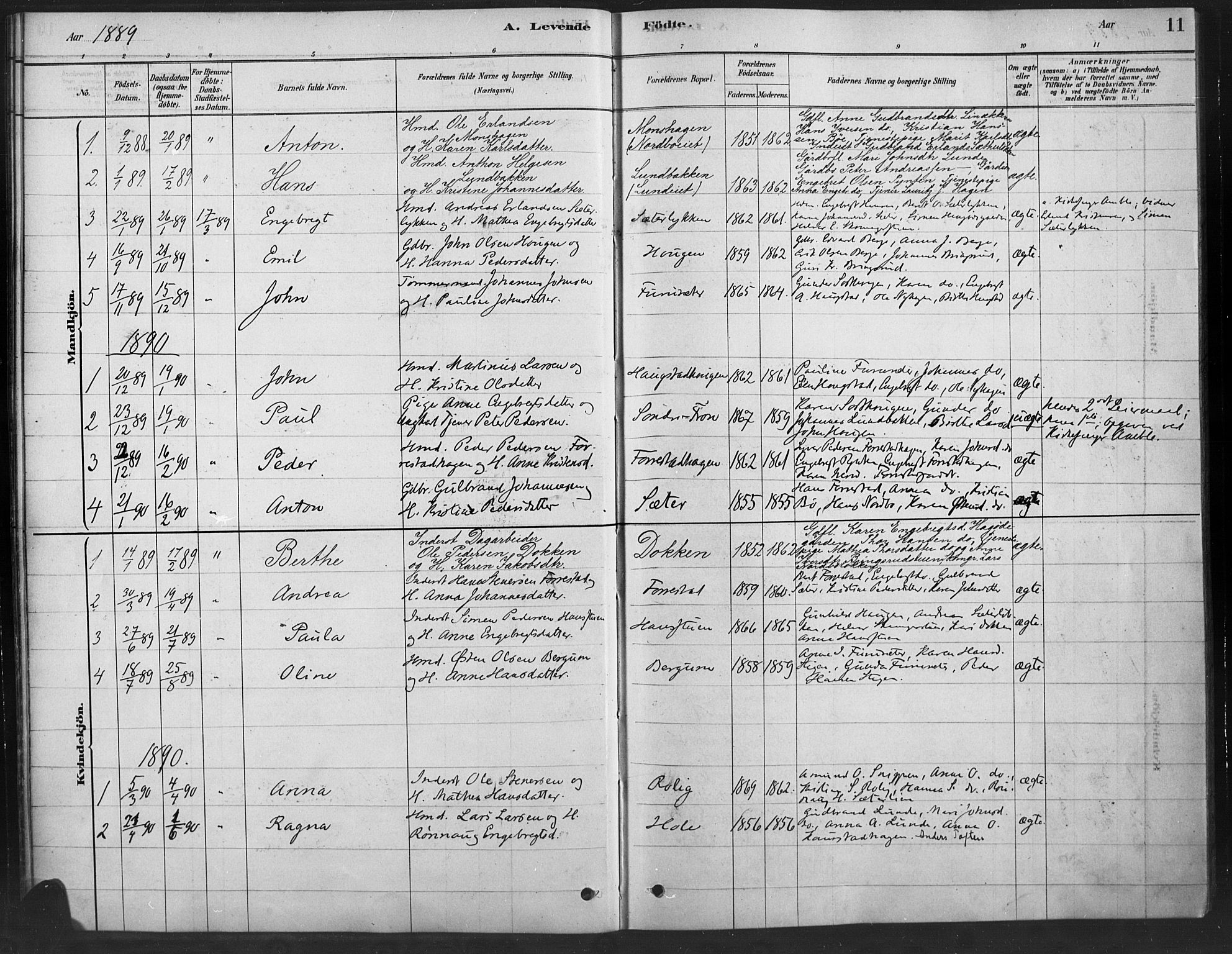 Ringebu prestekontor, SAH/PREST-082/H/Ha/Haa/L0010: Parish register (official) no. 10, 1878-1898, p. 11