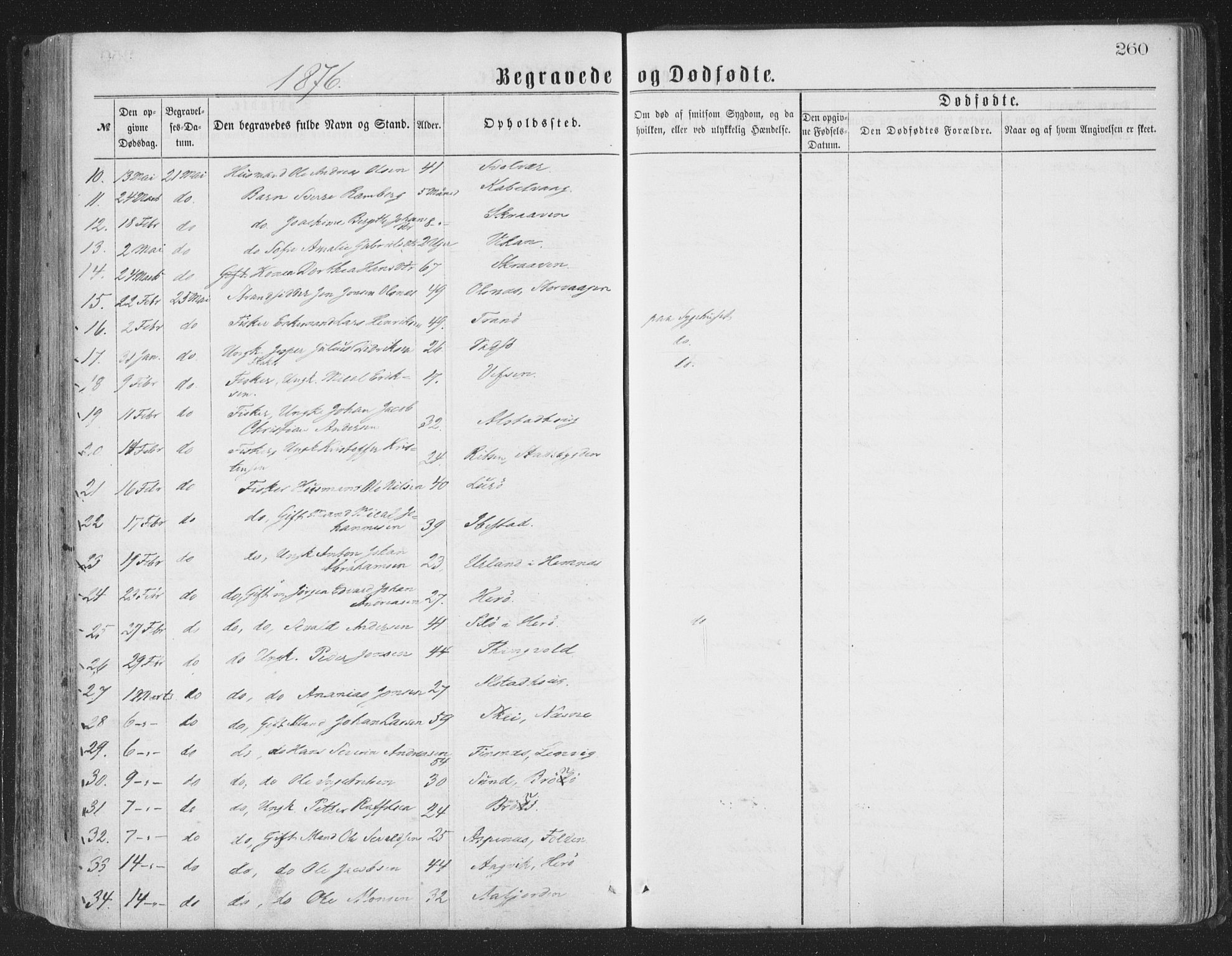 Ministerialprotokoller, klokkerbøker og fødselsregistre - Nordland, AV/SAT-A-1459/874/L1057: Parish register (official) no. 874A01, 1866-1877, p. 260