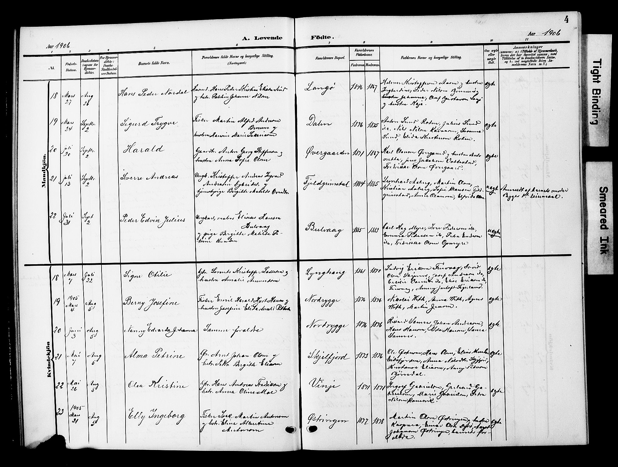 Ministerialprotokoller, klokkerbøker og fødselsregistre - Nordland, AV/SAT-A-1459/893/L1350: Parish register (copy) no. 893C05, 1906-1927, p. 4