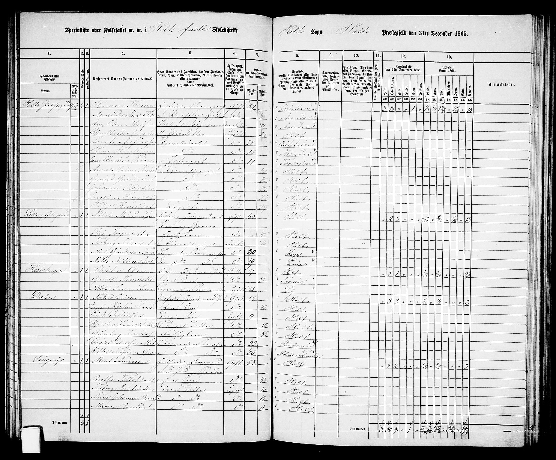 RA, 1865 census for Holt/Holt, 1865, p. 87