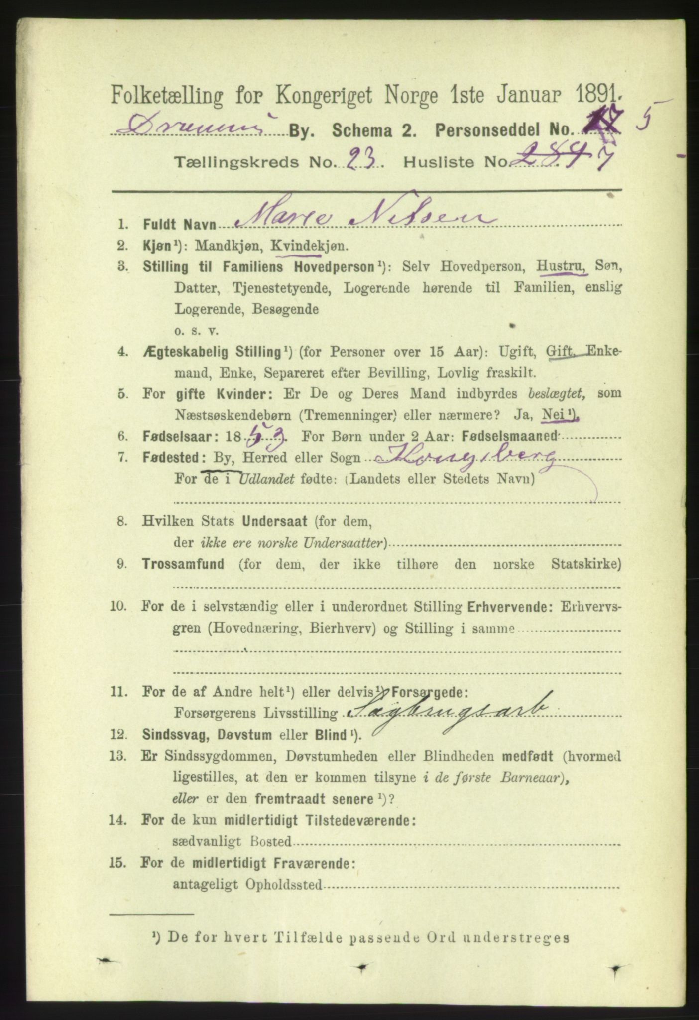 RA, 1891 census for 0602 Drammen, 1891, p. 14150