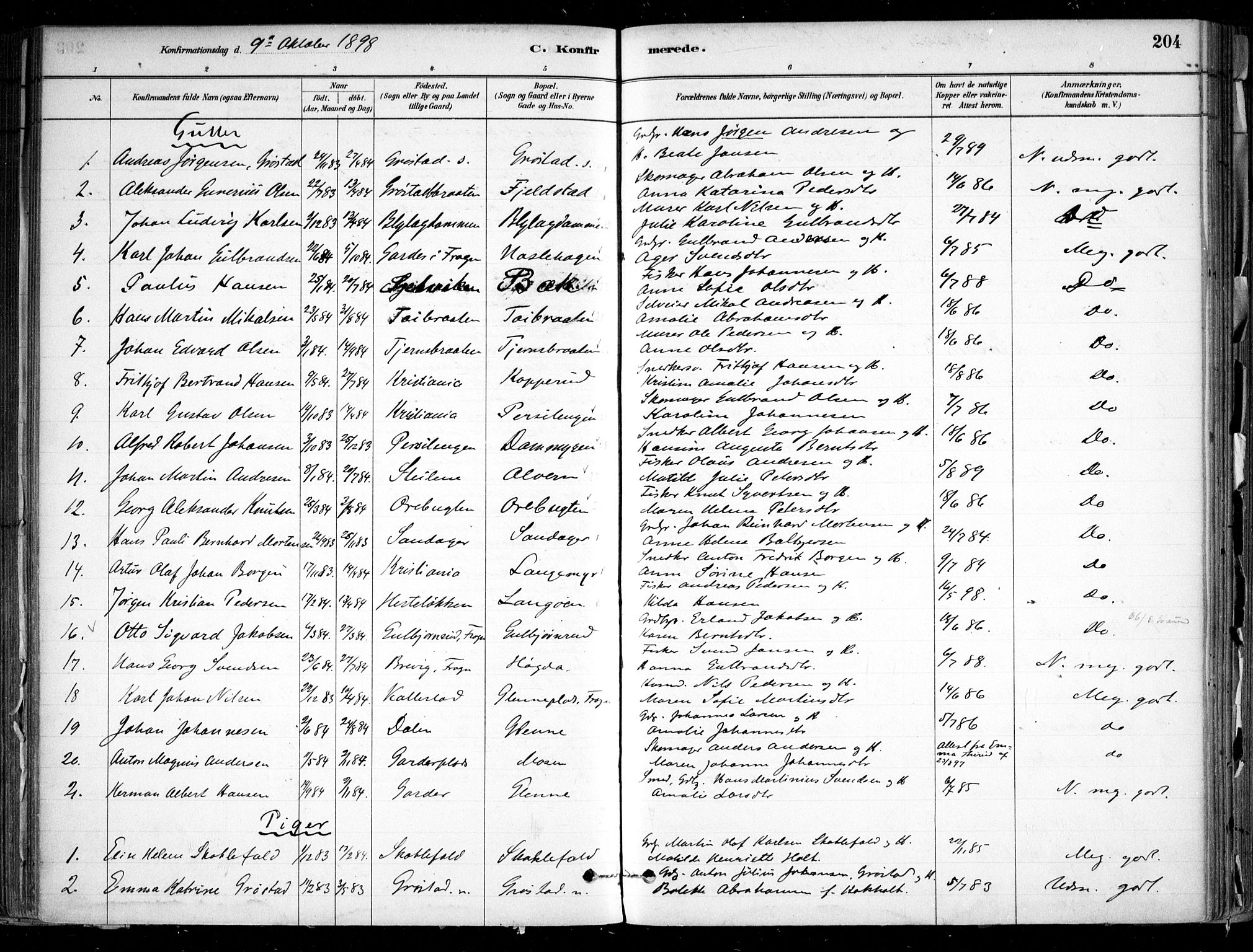 Nesodden prestekontor Kirkebøker, AV/SAO-A-10013/F/Fa/L0009: Parish register (official) no. I 9, 1880-1915, p. 204
