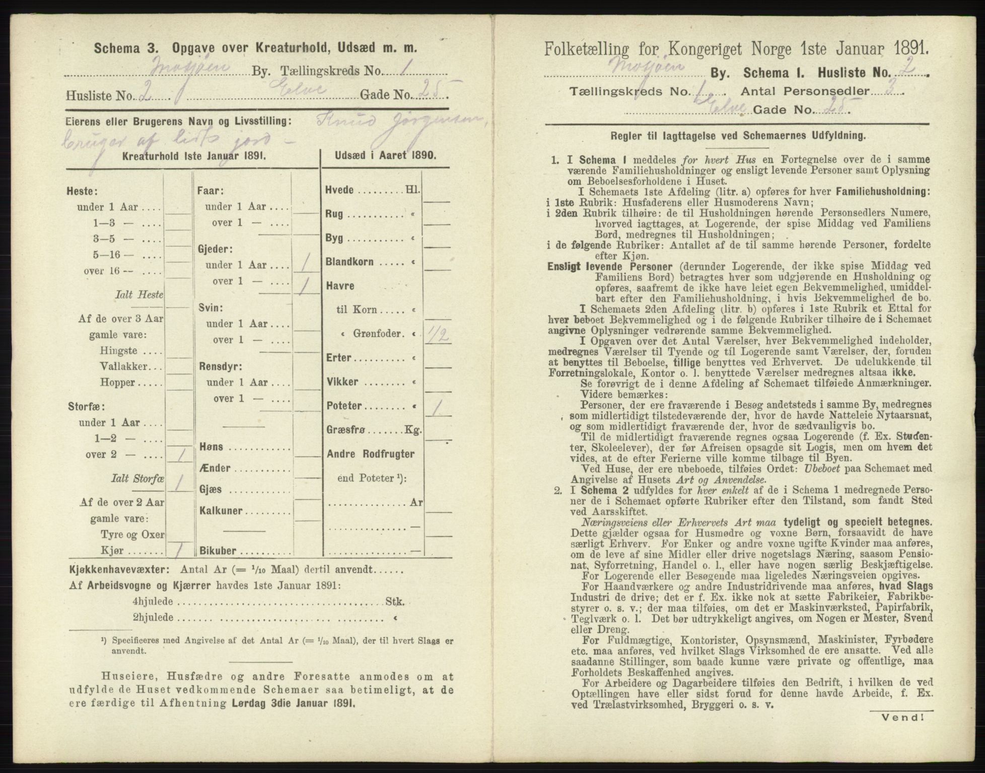 RA, 1891 census for 1802 Mosjøen, 1891, p. 13