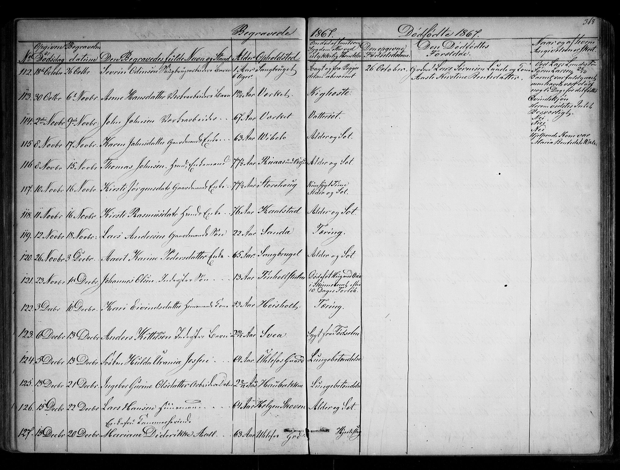 Holla kirkebøker, SAKO/A-272/G/Ga/L0004: Parish register (copy) no. I 4, 1867-1890, p. 368