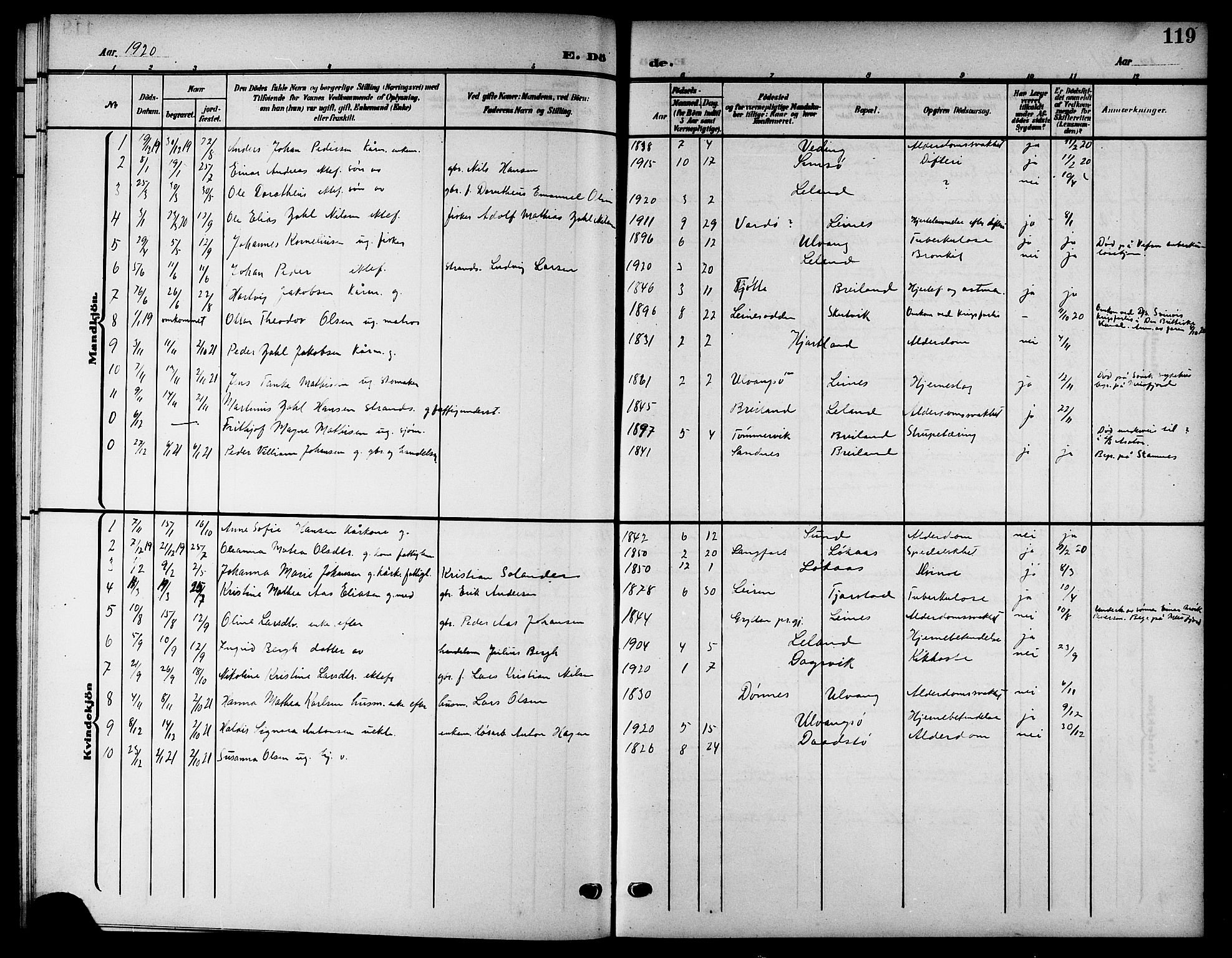 Ministerialprotokoller, klokkerbøker og fødselsregistre - Nordland, AV/SAT-A-1459/832/L0494: Parish register (copy) no. 832C01, 1906-1922, p. 119