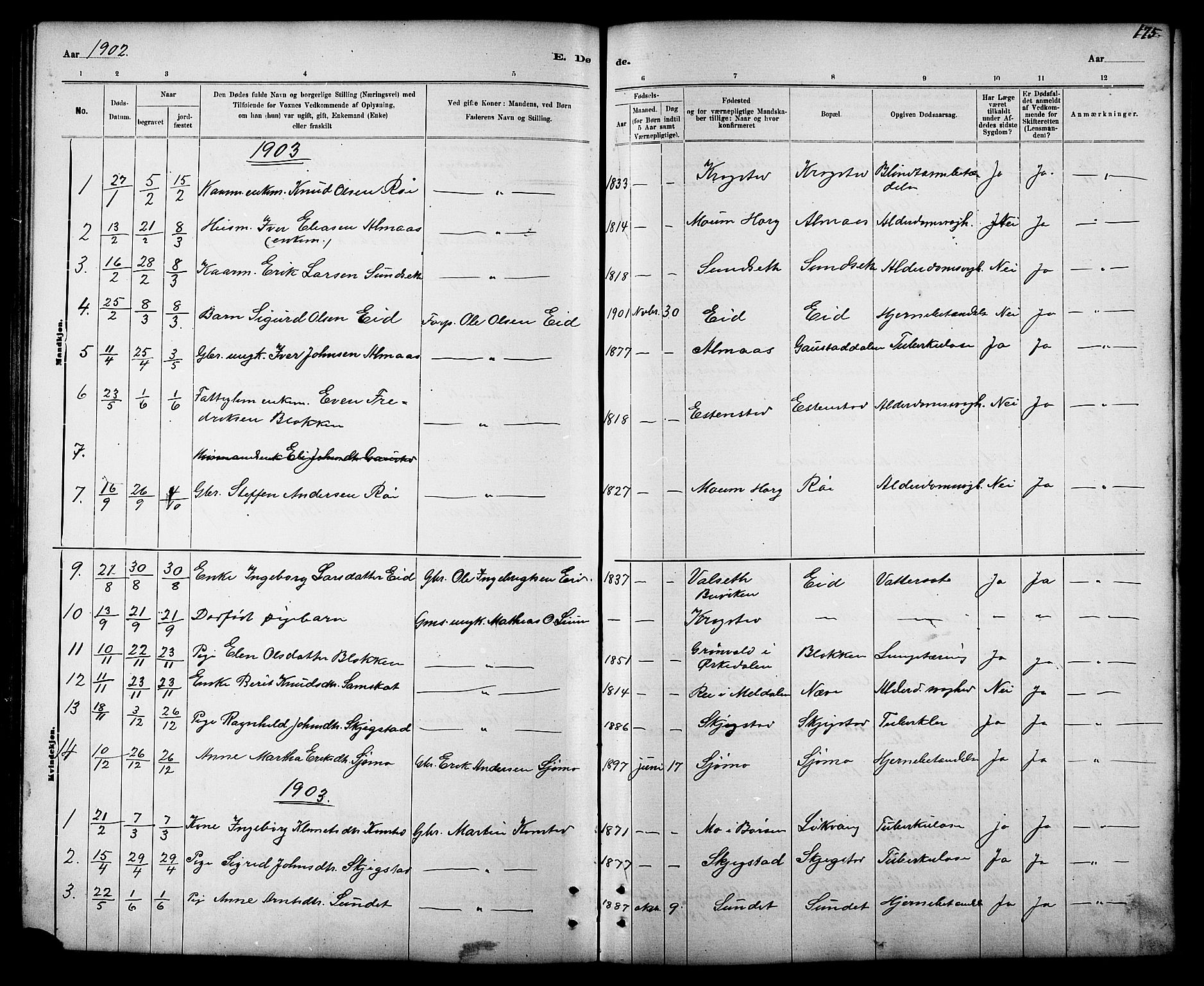 Ministerialprotokoller, klokkerbøker og fødselsregistre - Sør-Trøndelag, SAT/A-1456/694/L1132: Parish register (copy) no. 694C04, 1887-1914, p. 175