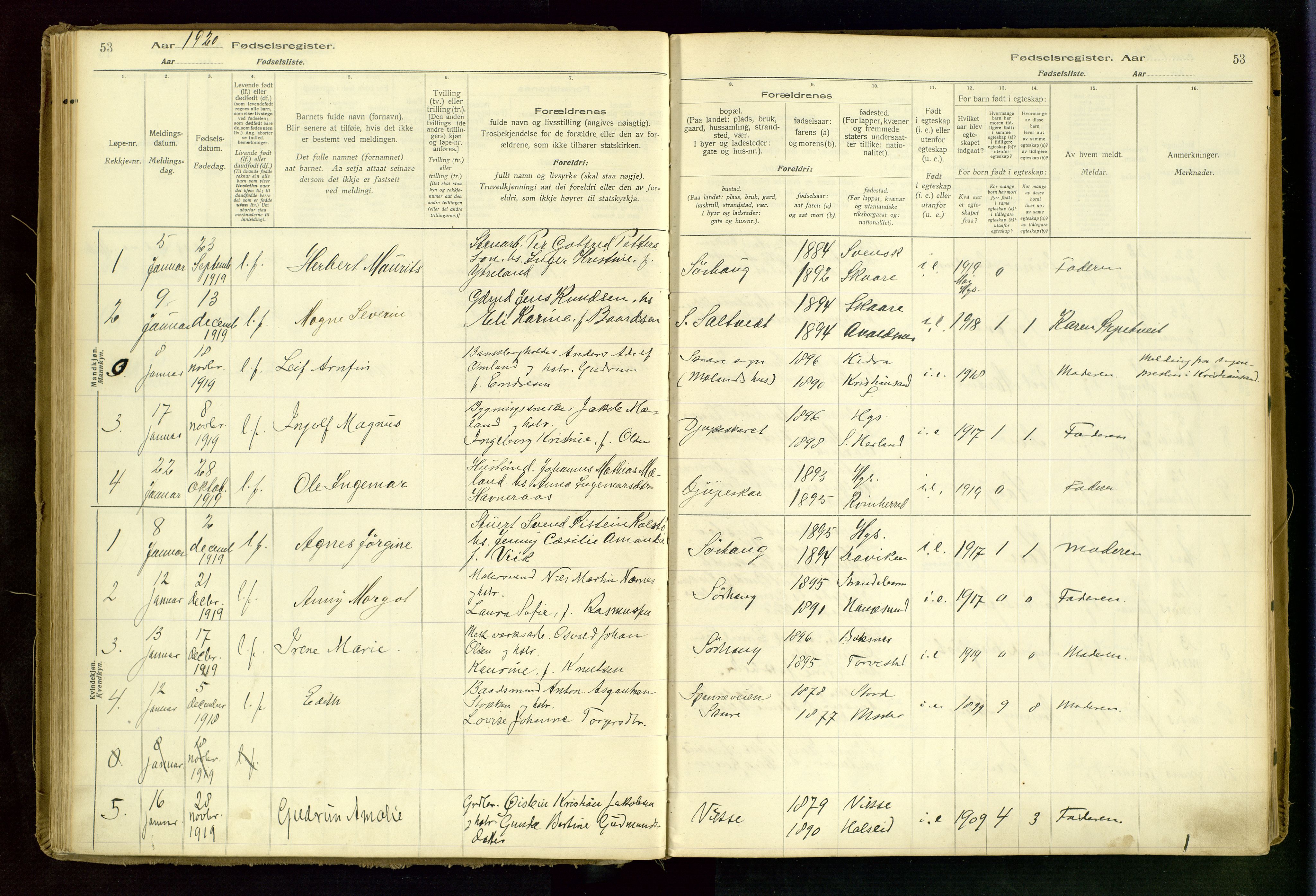 Haugesund sokneprestkontor, AV/SAST-A -101863/I/Id/L0001: Birth register no. 1, 1916-1935, p. 53