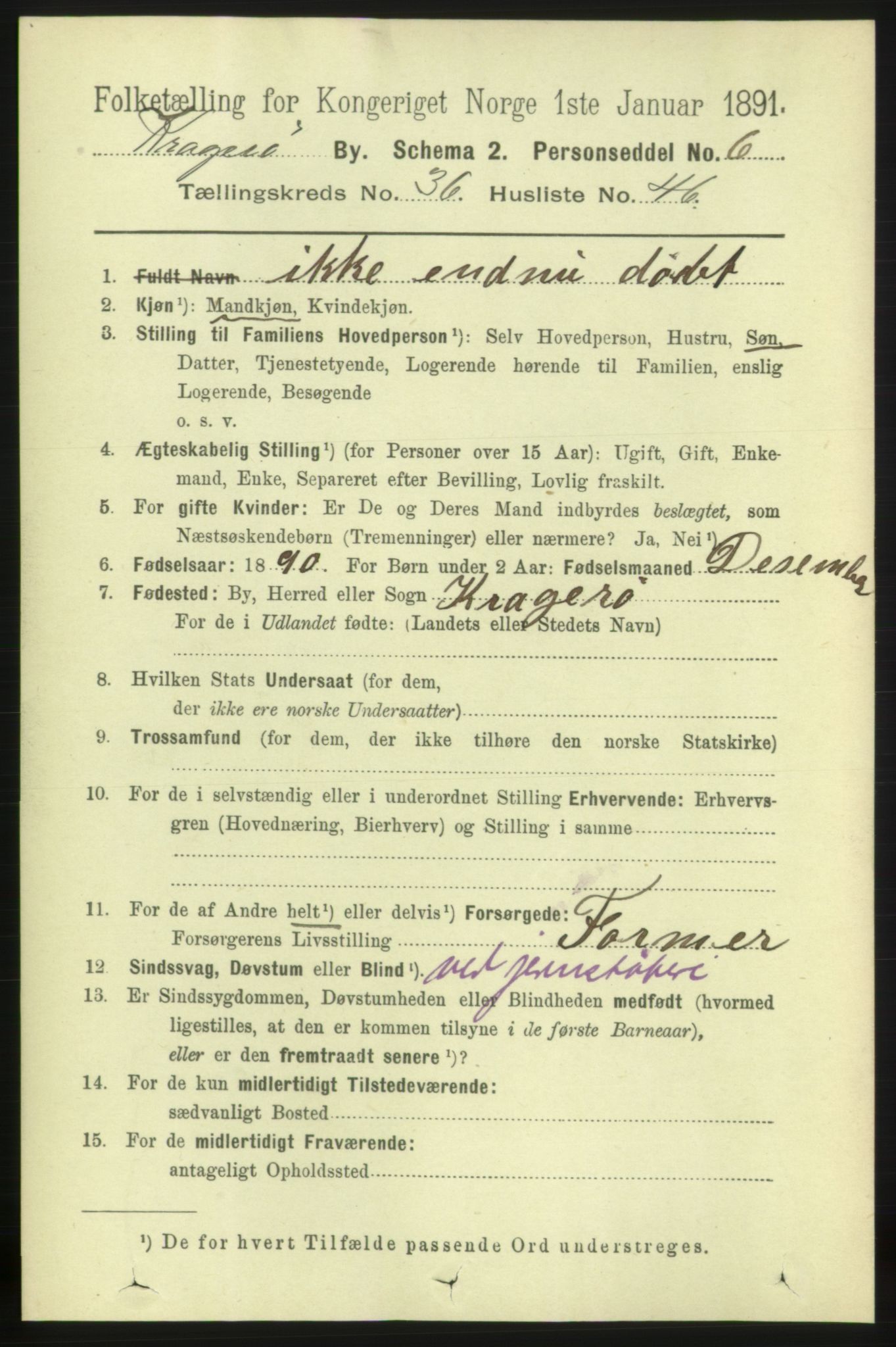 RA, 1891 census for 0801 Kragerø, 1891, p. 6747