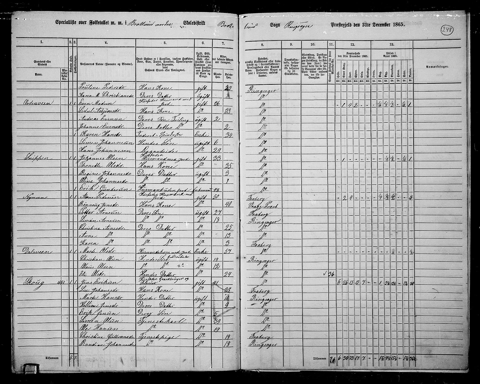 RA, 1865 census for Ringsaker, 1865, p. 482