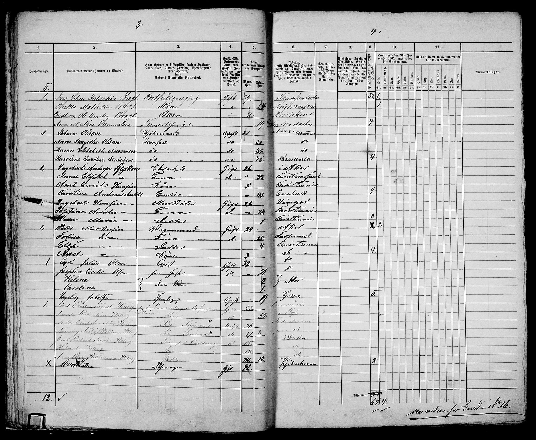 RA, 1865 census for Kristiania, 1865, p. 3190