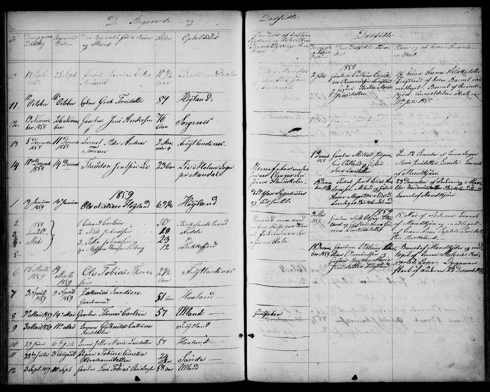Kvinesdal sokneprestkontor, SAK/1111-0026/F/Fb/Fba/L0003: Parish register (copy) no. B 3, 1858-1893, p. 217