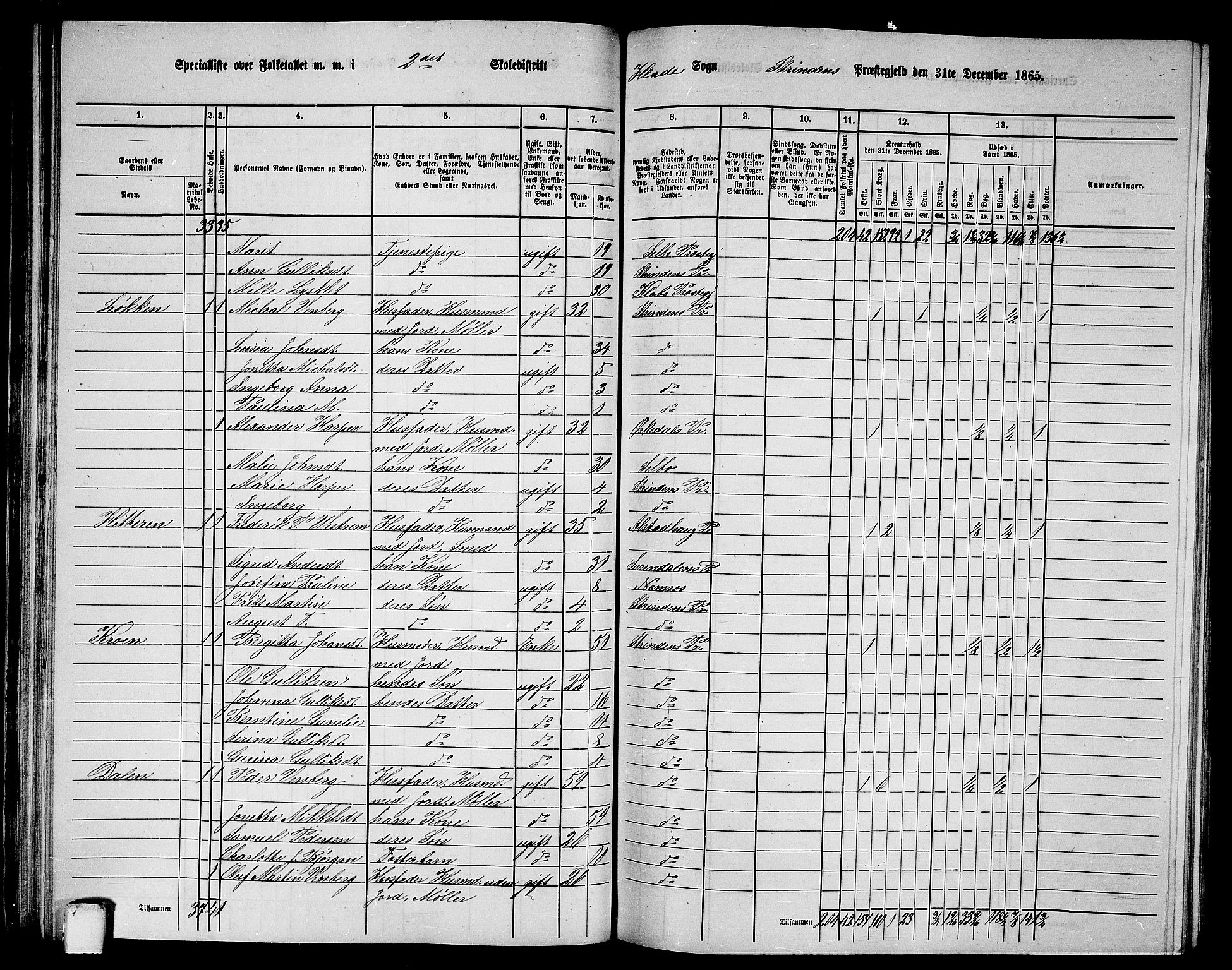 RA, 1865 census for Strinda, 1865, p. 55