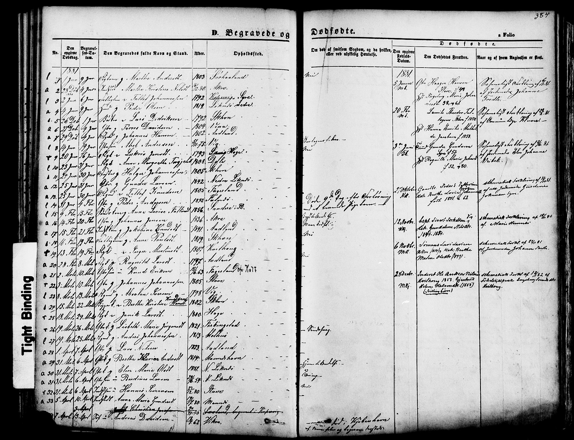 Skudenes sokneprestkontor, SAST/A -101849/H/Ha/Haa/L0006: Parish register (official) no. A 4, 1864-1881, p. 384