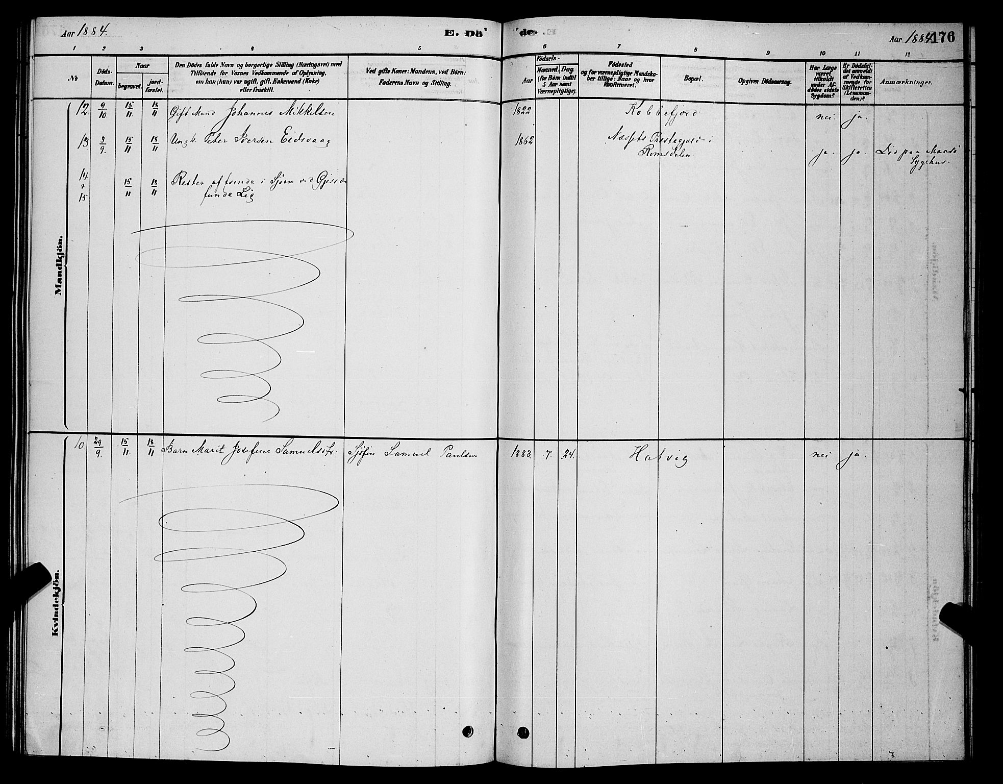 Måsøy sokneprestkontor, SATØ/S-1348/H/Hb/L0002klokker: Parish register (copy) no. 2, 1876-1888, p. 176