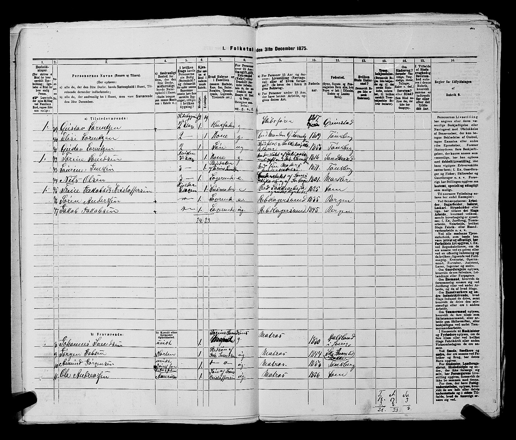 SAKO, 1875 census for 0705P Tønsberg, 1875, p. 376