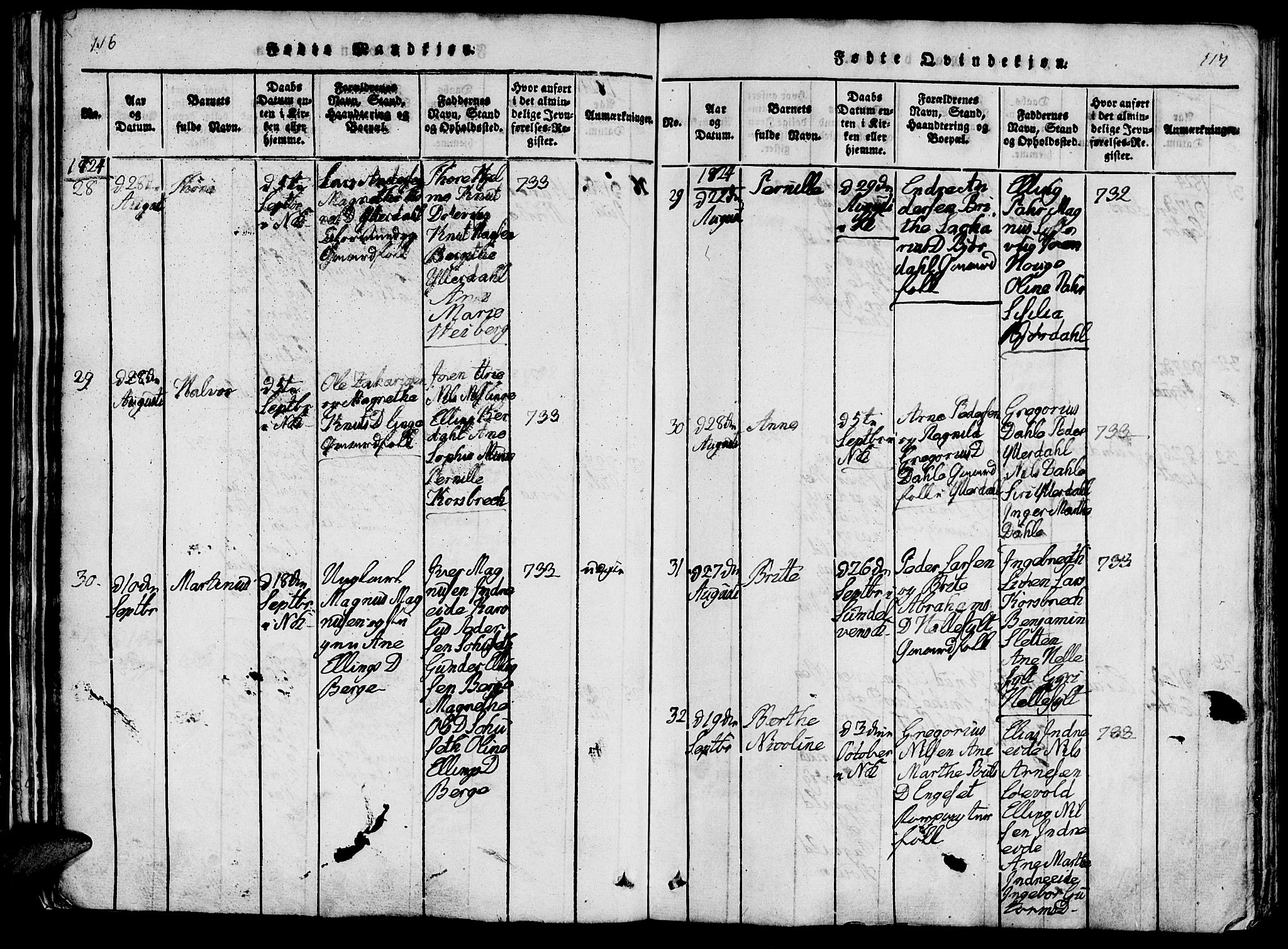 Ministerialprotokoller, klokkerbøker og fødselsregistre - Møre og Romsdal, AV/SAT-A-1454/519/L0260: Parish register (copy) no. 519C01, 1817-1829, p. 116-117