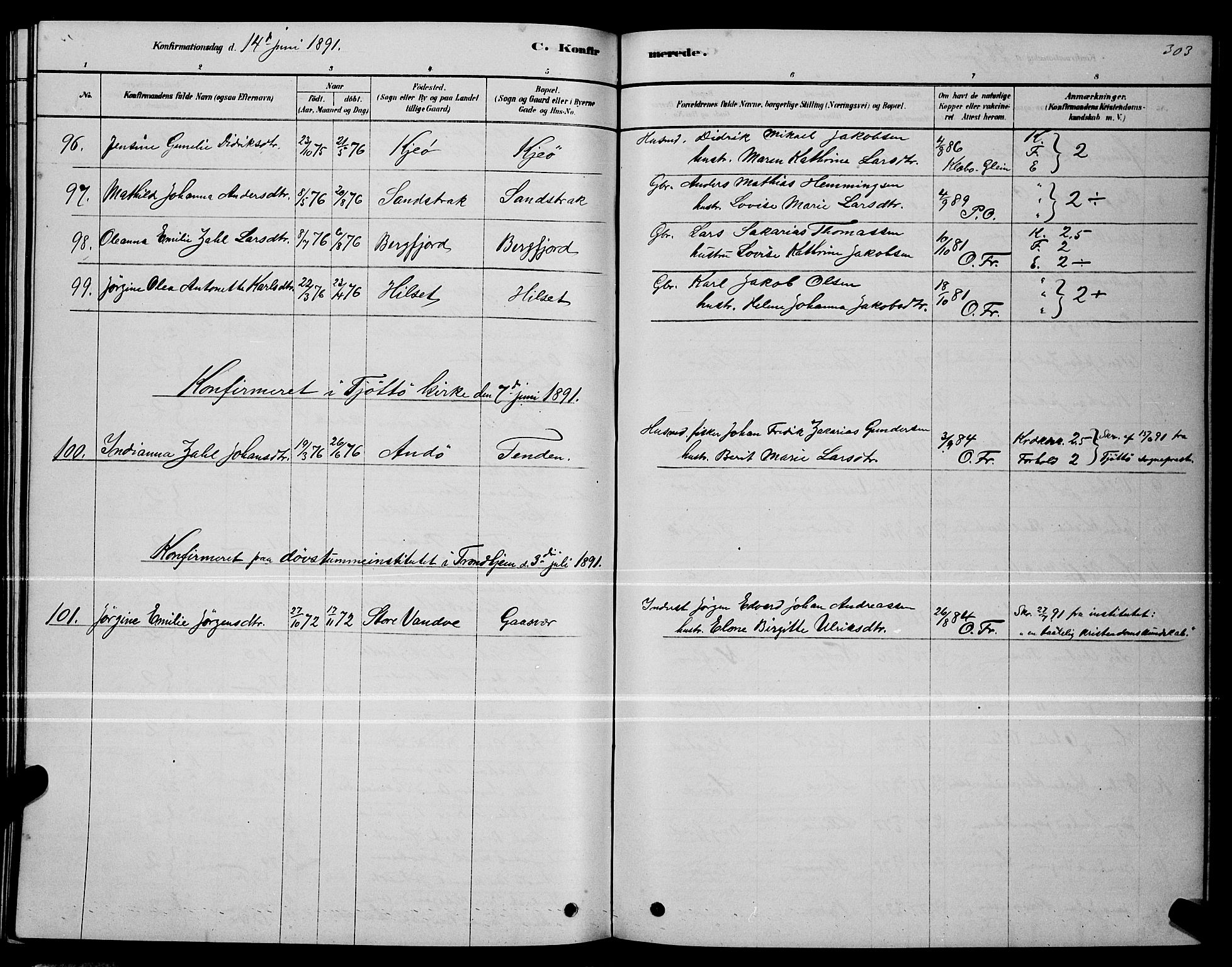 Ministerialprotokoller, klokkerbøker og fødselsregistre - Nordland, AV/SAT-A-1459/834/L0513: Parish register (copy) no. 834C04, 1877-1892, p. 303