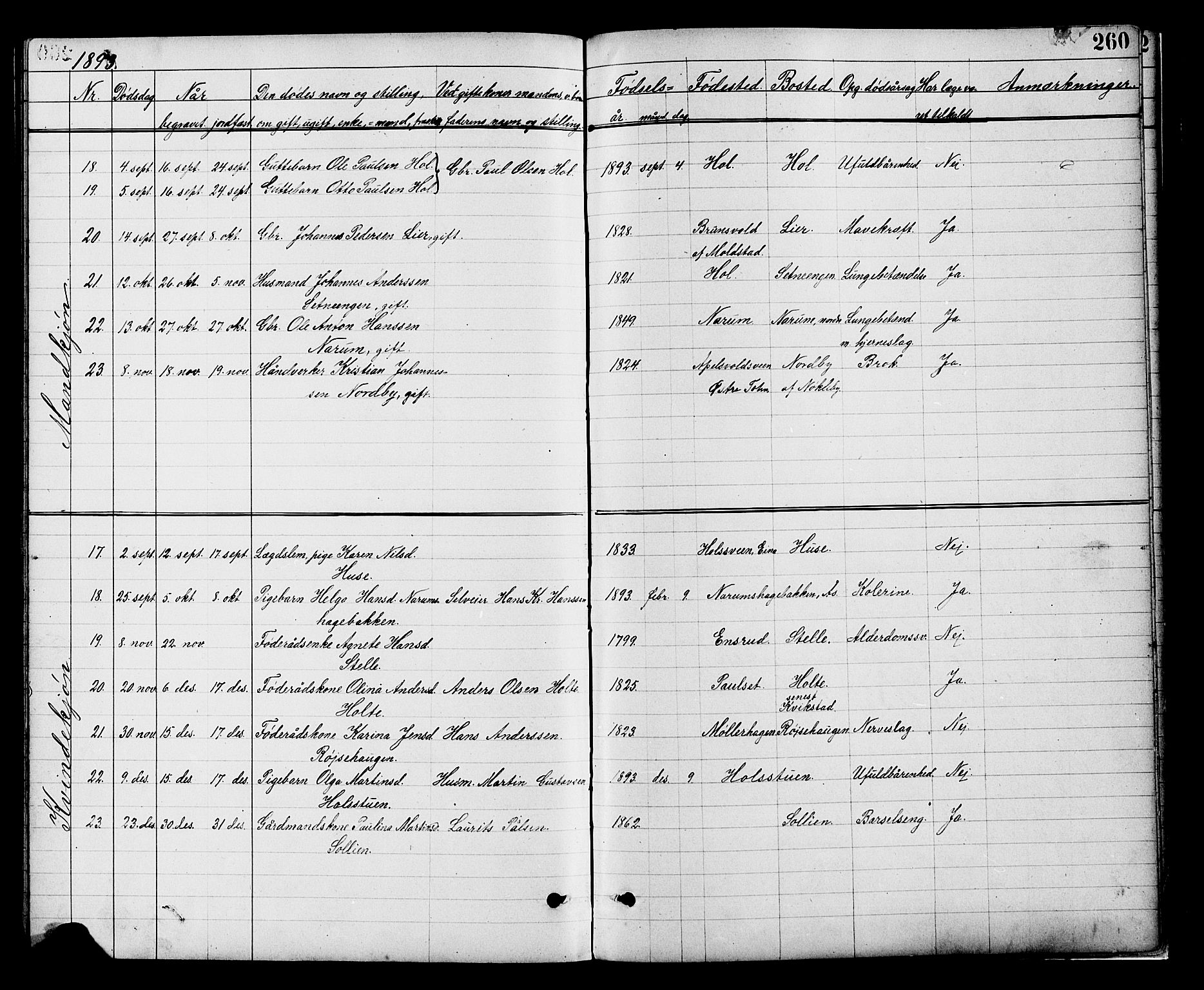 Vestre Toten prestekontor, SAH/PREST-108/H/Ha/Hab/L0008: Parish register (copy) no. 8, 1885-1900, p. 260