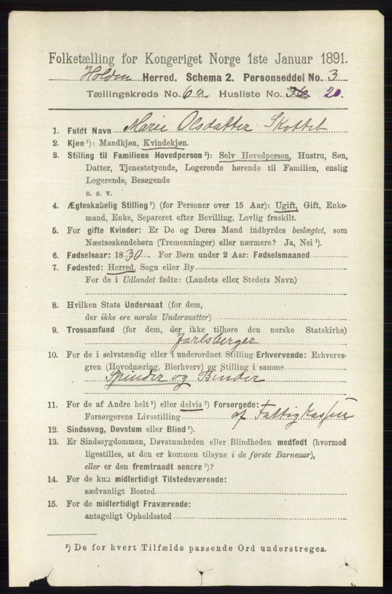 RA, 1891 census for 0819 Holla, 1891, p. 2980