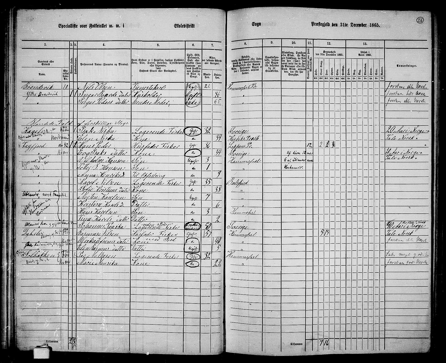 RA, 1865 census for Hammerfest/Hammerfest, 1865, p. 22