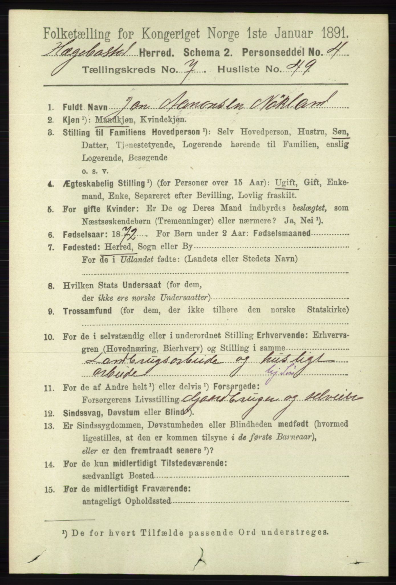 RA, 1891 census for 1034 Hægebostad, 1891, p. 2407