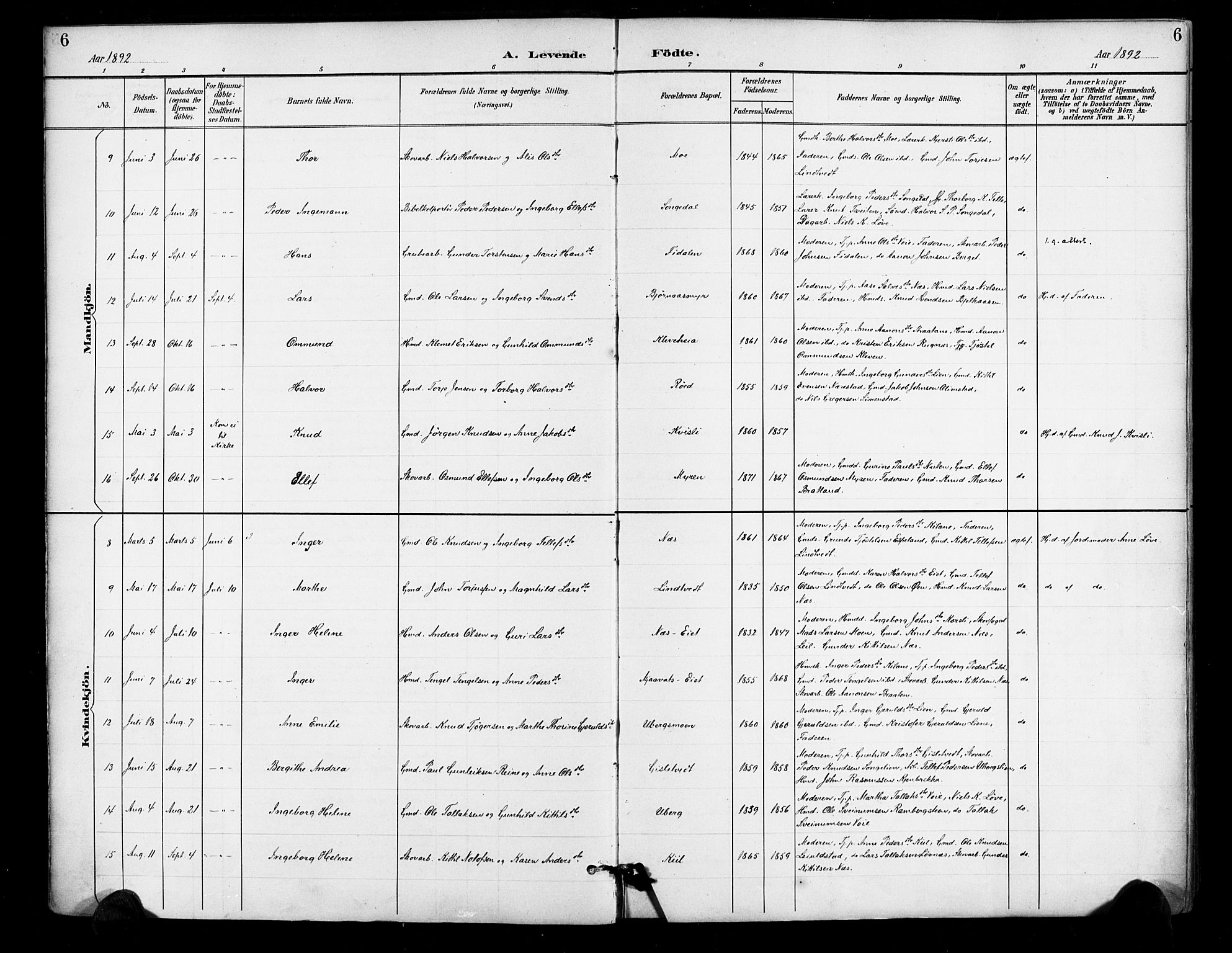 Gjerstad sokneprestkontor, AV/SAK-1111-0014/F/Fa/Fab/L0005: Parish register (official) no. A 5, 1891-1908, p. 6