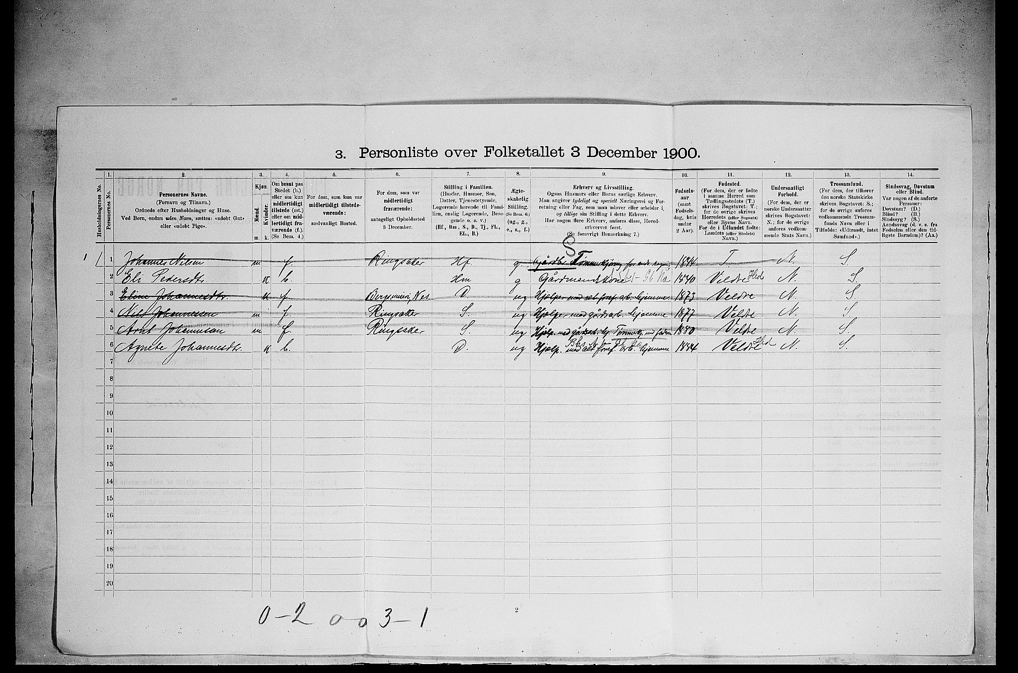 SAH, 1900 census for Nes, 1900, p. 615