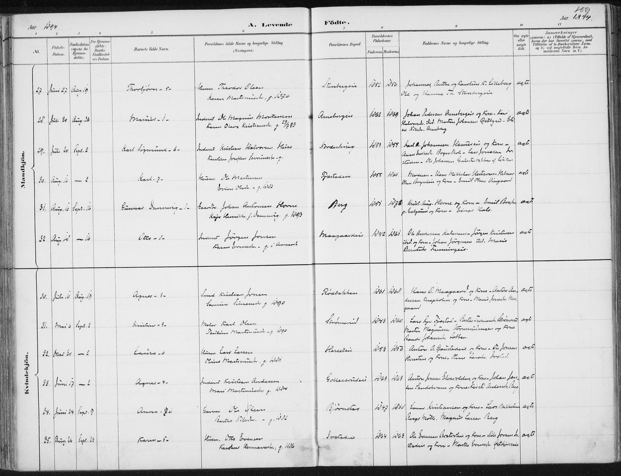 Romedal prestekontor, AV/SAH-PREST-004/K/L0010: Parish register (official) no. 10, 1880-1895, p. 109