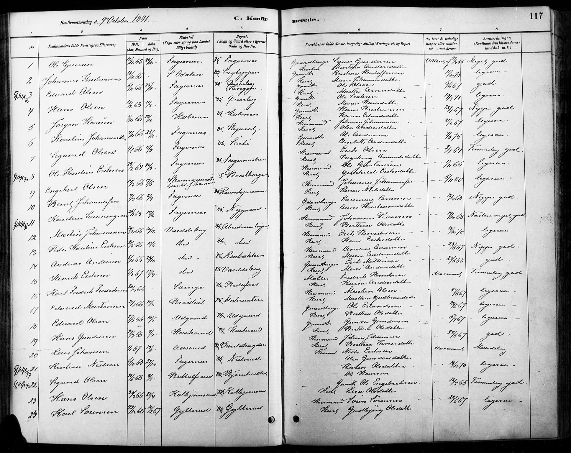 Vinger prestekontor, AV/SAH-PREST-024/H/Ha/Haa/L0015: Parish register (official) no. 15, 1881-1900, p. 117