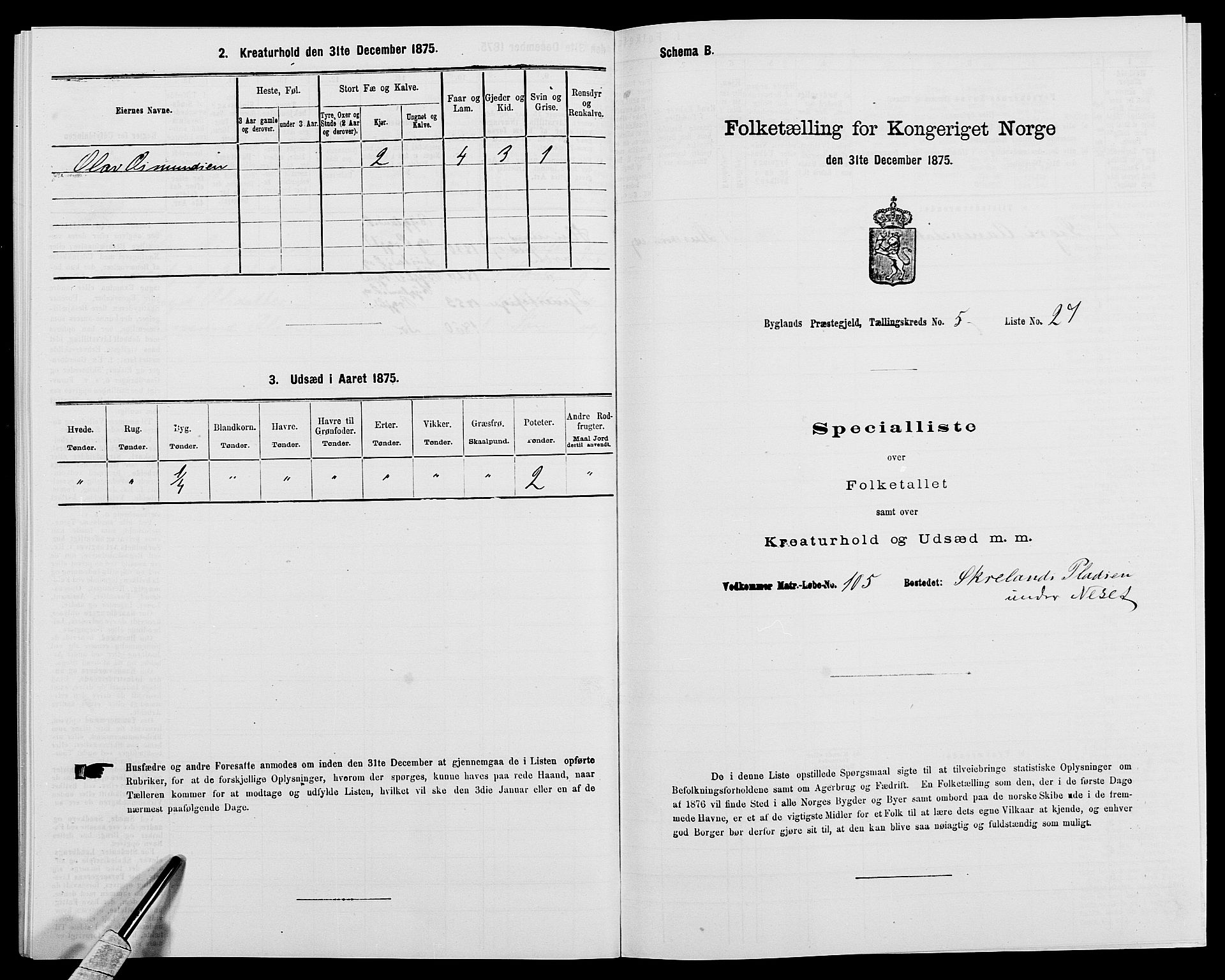 SAK, 1875 census for 0938P Bygland, 1875, p. 452