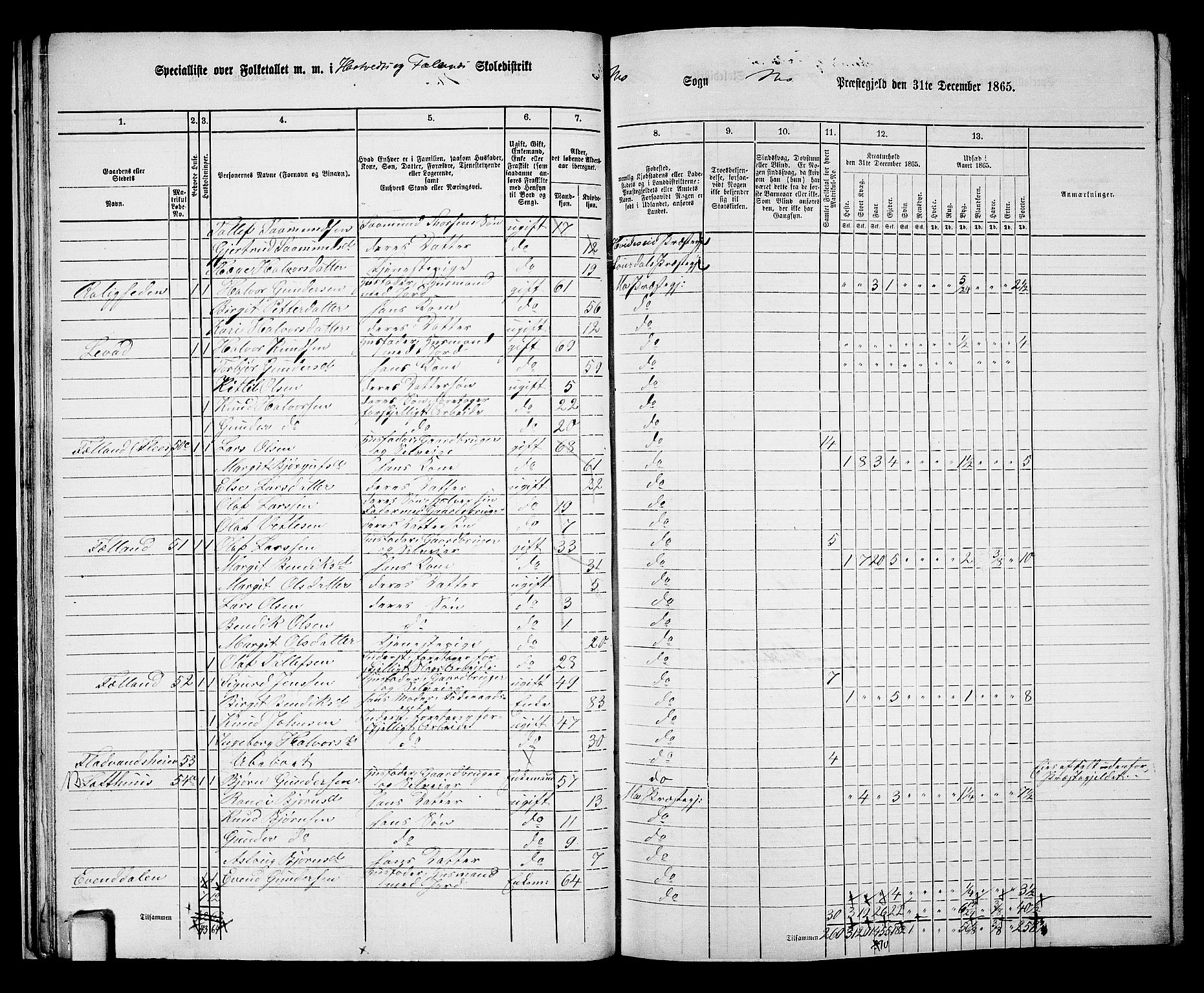 RA, 1865 census for Mo, 1865, p. 30