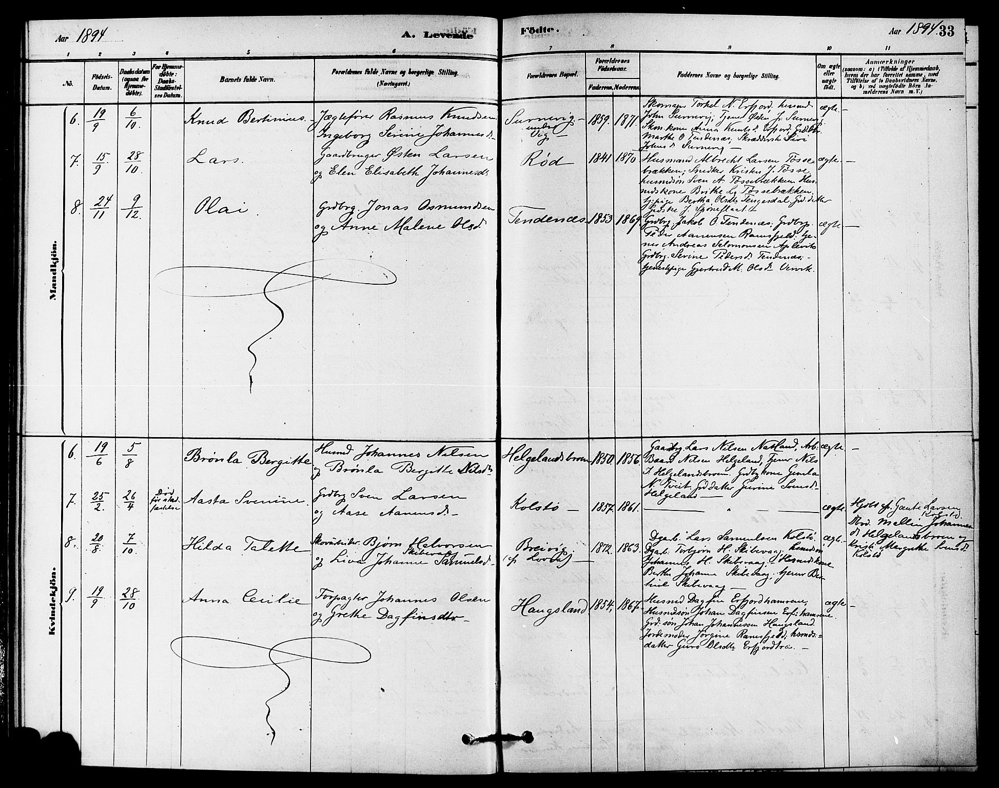 Jelsa sokneprestkontor, AV/SAST-A-101842/01/IV: Parish register (official) no. A 9, 1878-1898, p. 33