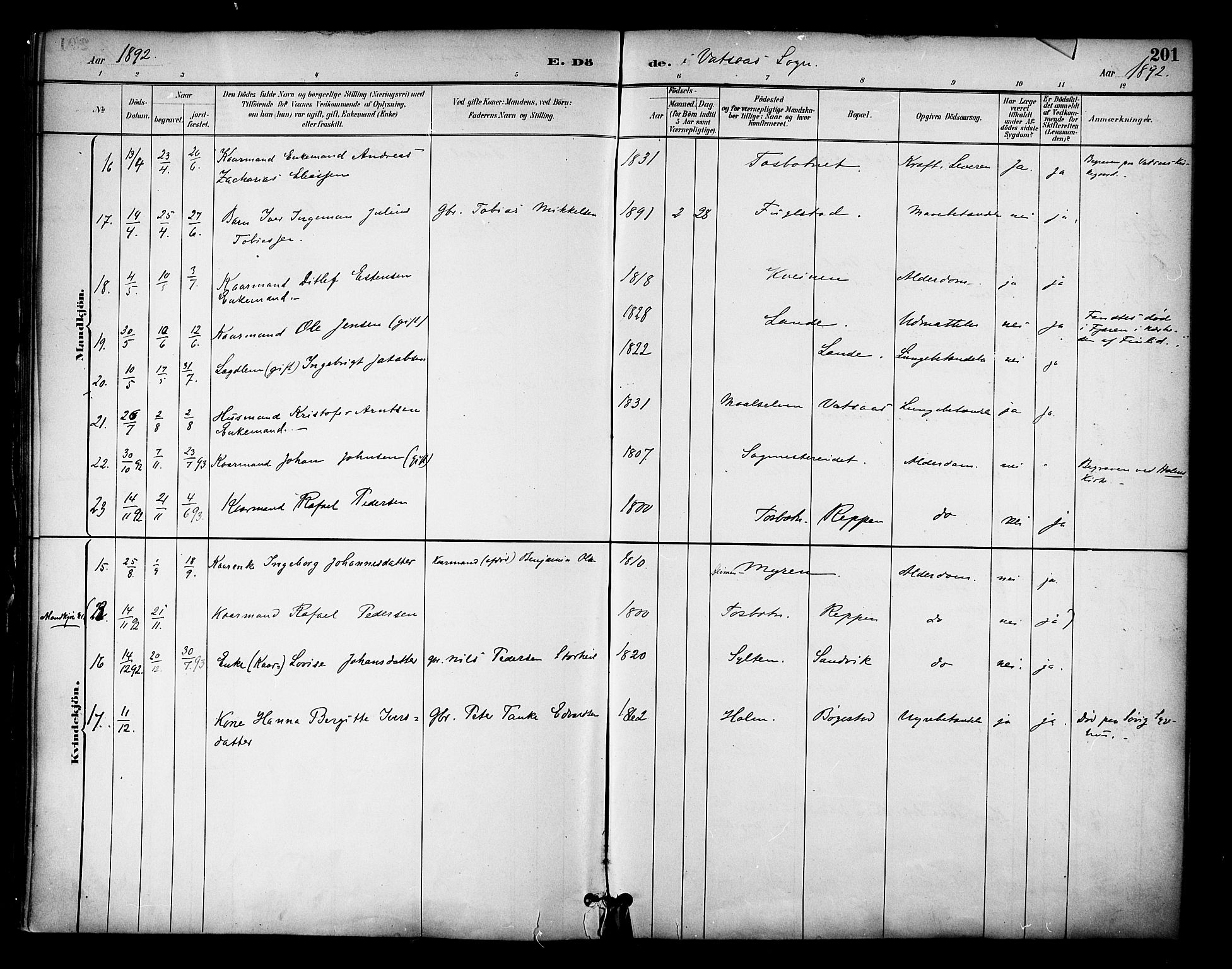 Ministerialprotokoller, klokkerbøker og fødselsregistre - Nordland, AV/SAT-A-1459/810/L0150: Parish register (official) no. 810A10 /1, 1884-1895, p. 201