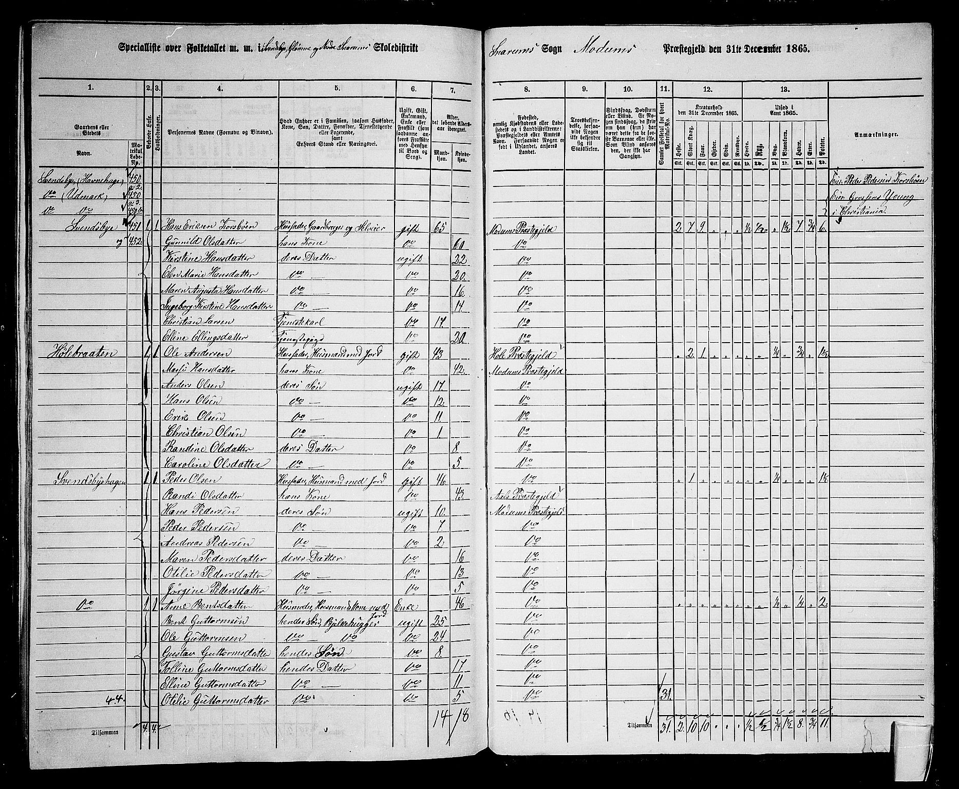 RA, 1865 census for Modum, 1865, p. 318