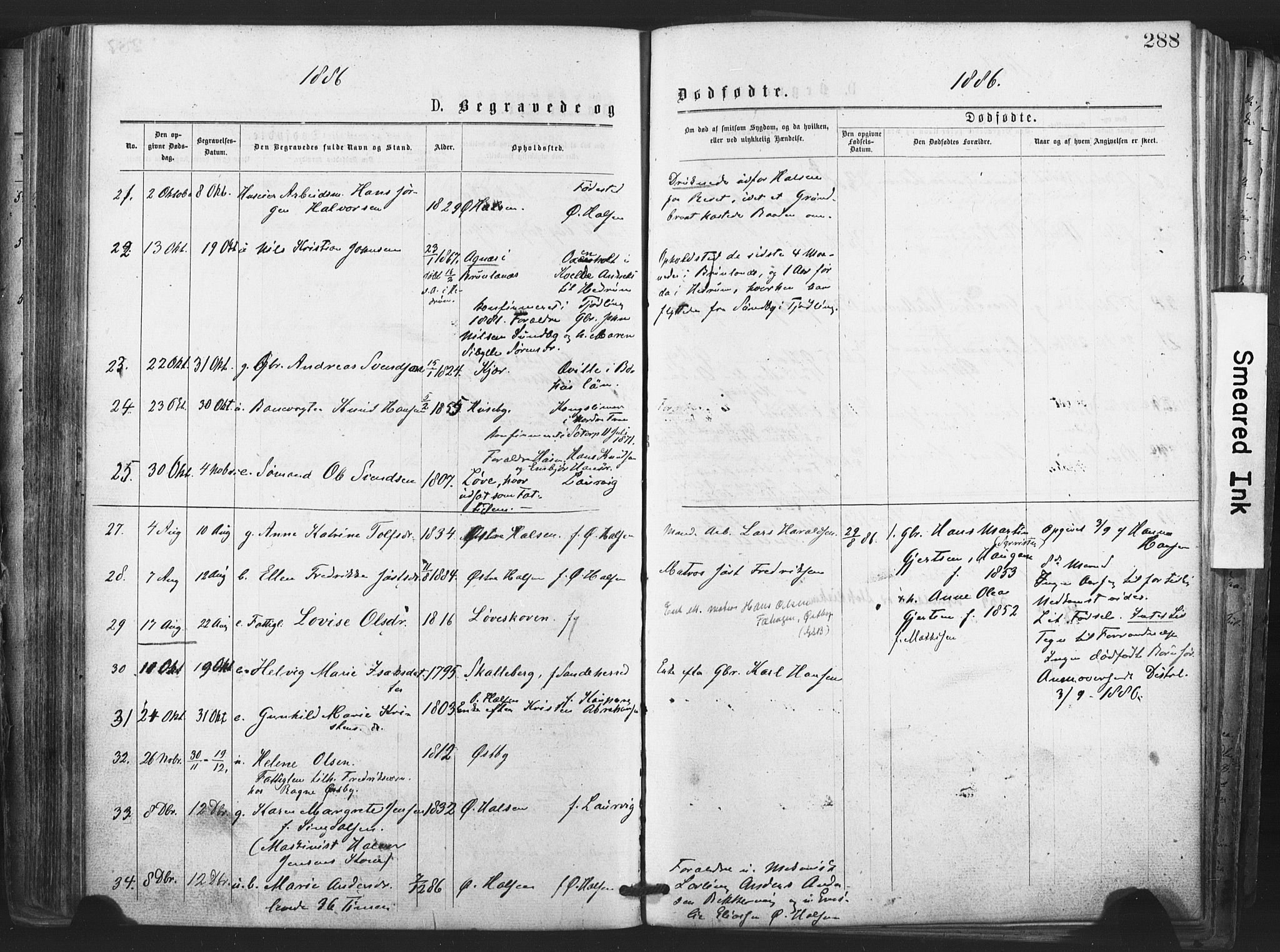 Tjølling kirkebøker, AV/SAKO-A-60/F/Fa/L0008: Parish register (official) no. 8, 1877-1886, p. 288