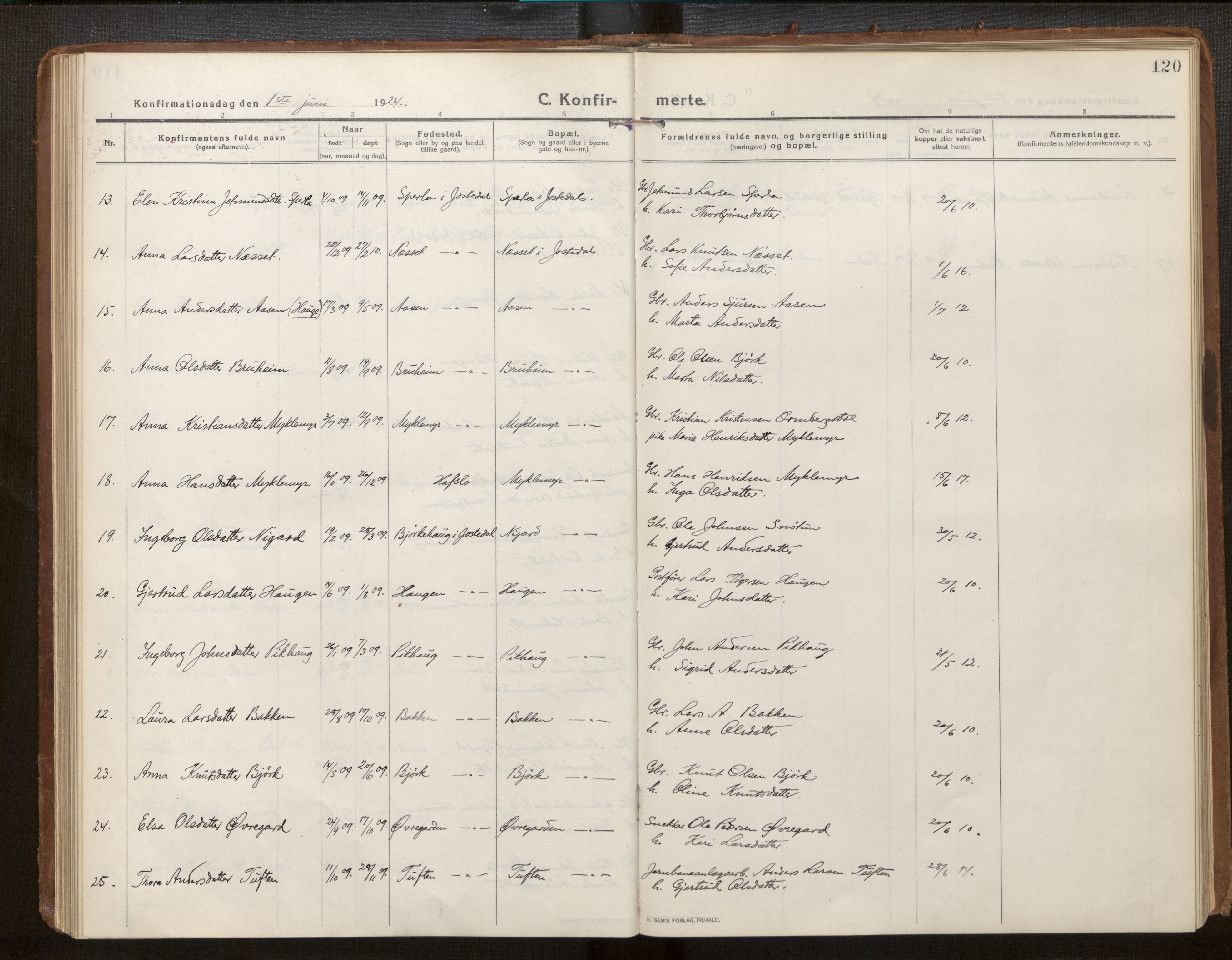 Jostedal sokneprestembete, AV/SAB-A-80601/H/Haa/Haab/L0002: Parish register (official) no. B 2, 1915-1931, p. 120