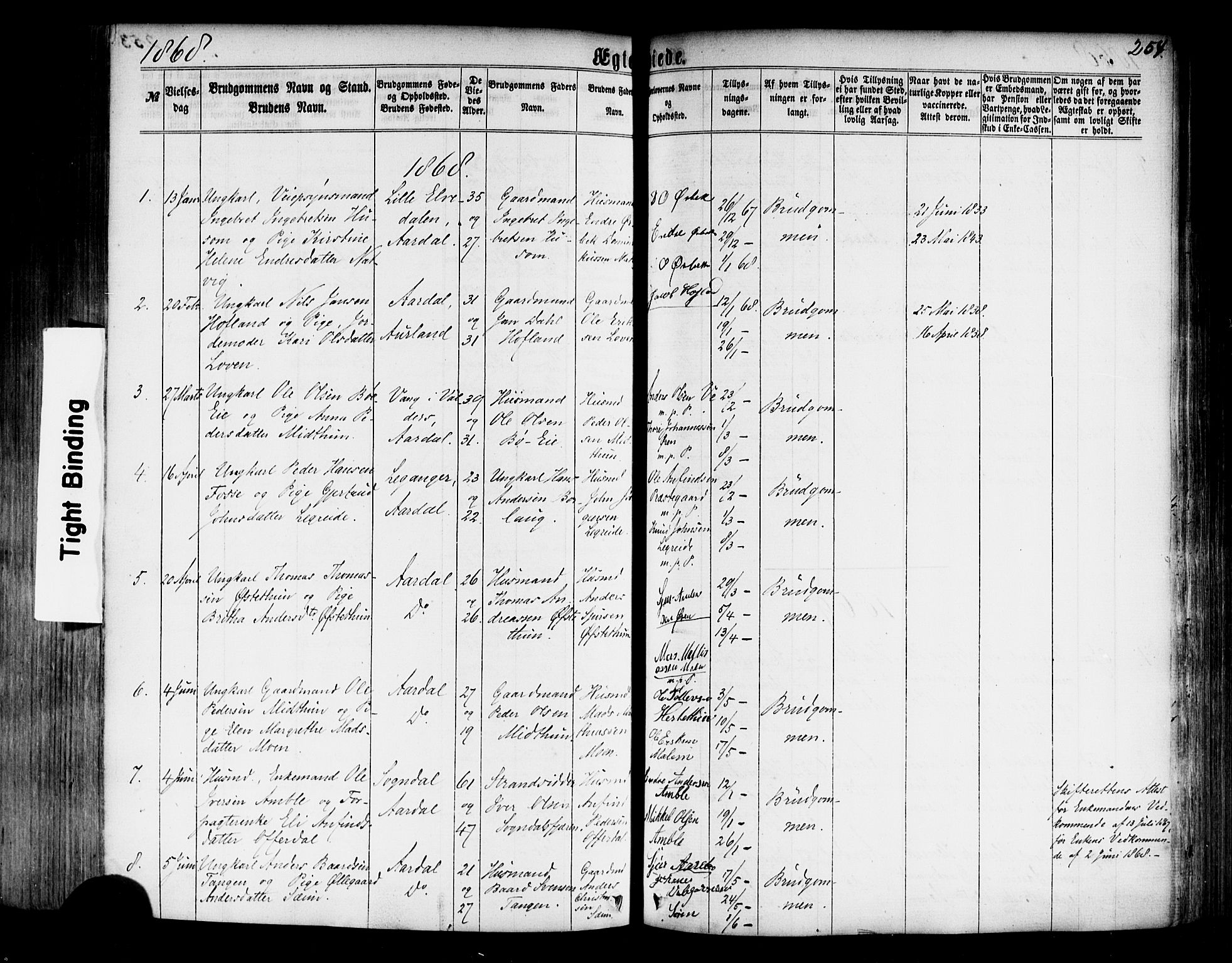 Årdal sokneprestembete, SAB/A-81701: Parish register (official) no. A 3, 1863-1886, p. 254