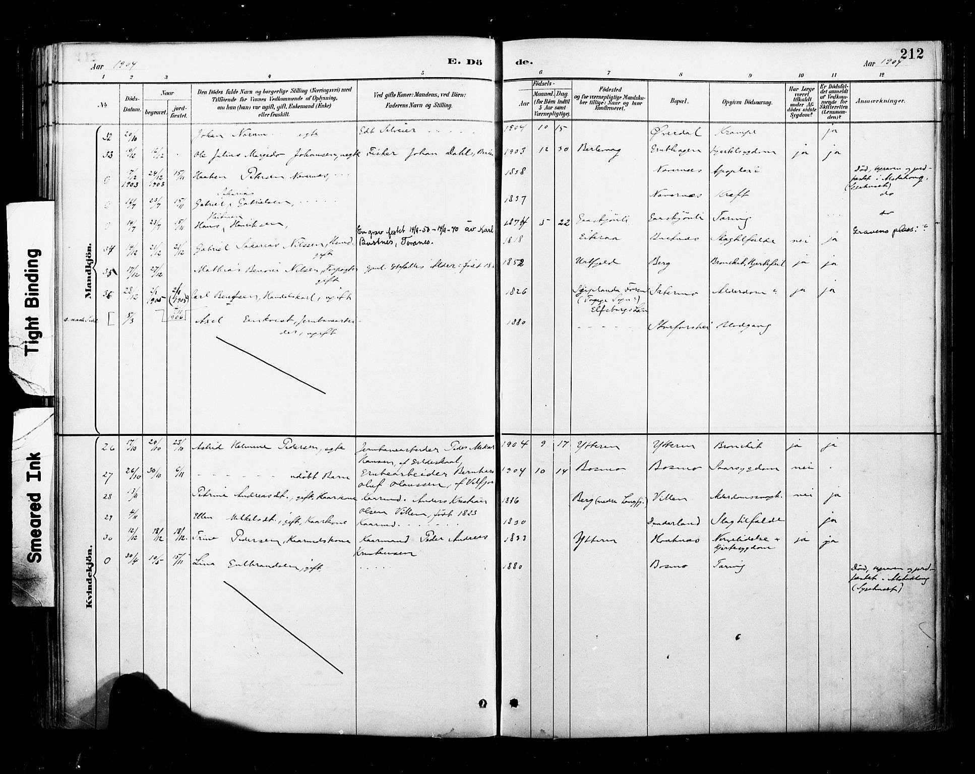 Ministerialprotokoller, klokkerbøker og fødselsregistre - Nordland, SAT/A-1459/827/L0401: Parish register (official) no. 827A13, 1887-1905, p. 212