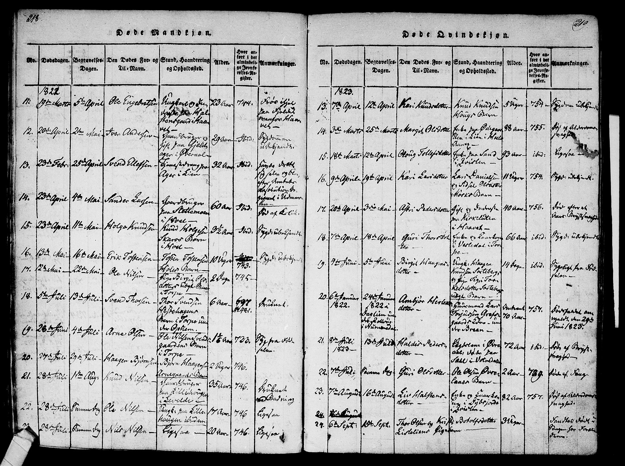 Ål kirkebøker, SAKO/A-249/F/Fa/L0004: Parish register (official) no. I 4, 1815-1825, p. 218-219