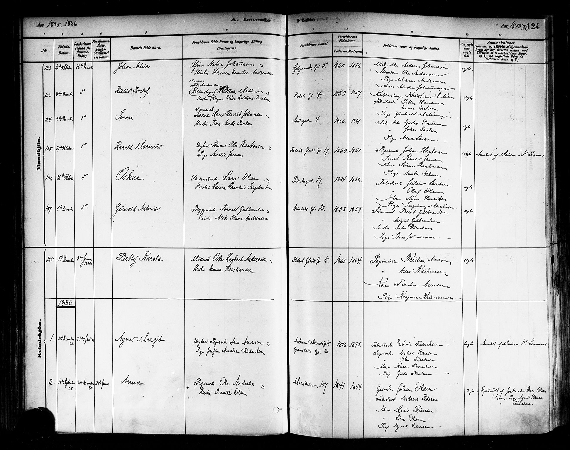 Sagene prestekontor Kirkebøker, SAO/A-10796/F/L0001: Parish register (official) no. 1, 1880-1893, p. 124