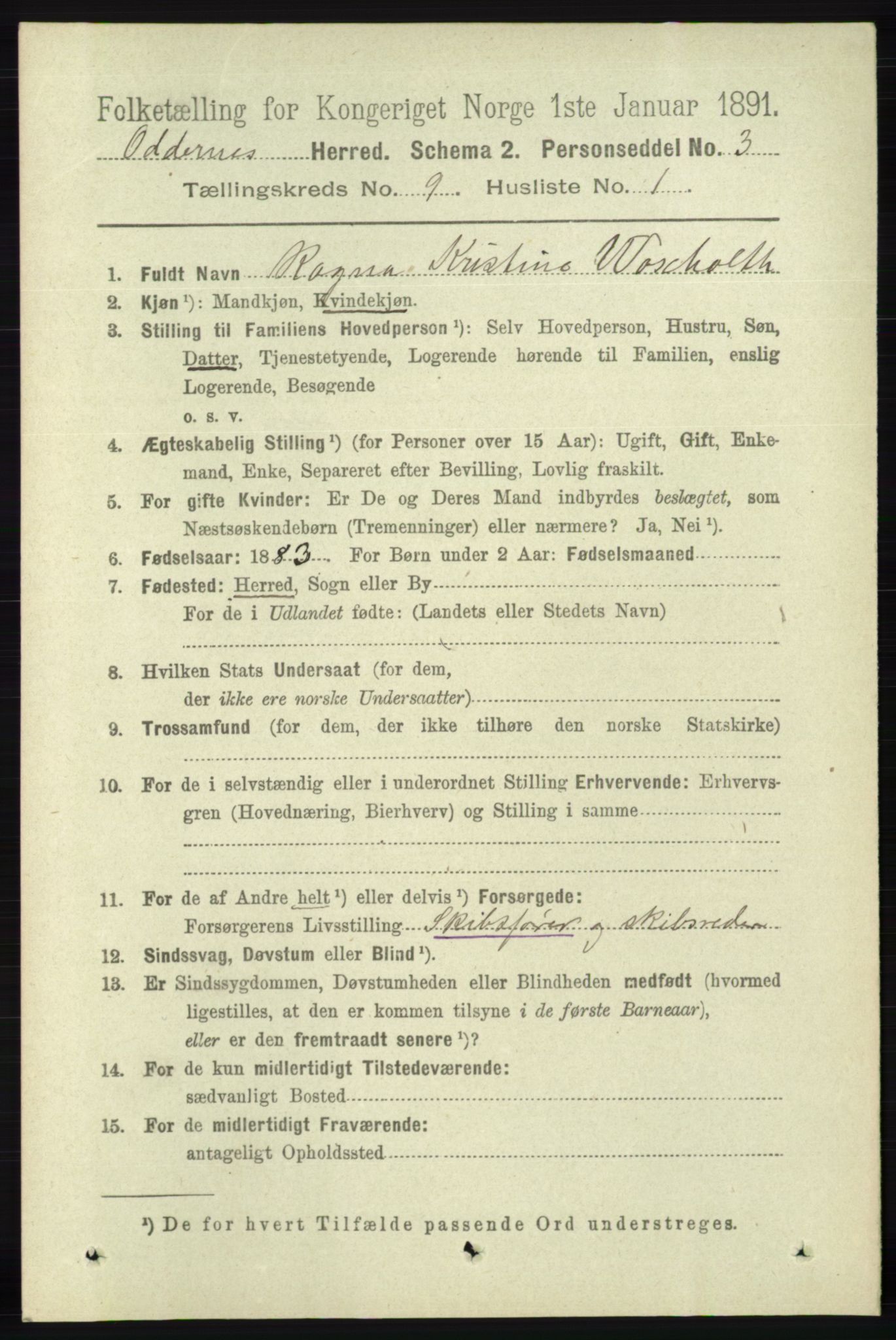 RA, 1891 census for 1012 Oddernes, 1891, p. 3263