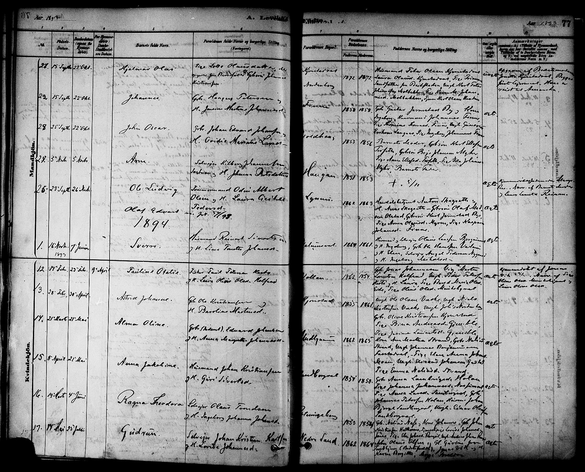 Ministerialprotokoller, klokkerbøker og fødselsregistre - Nord-Trøndelag, SAT/A-1458/717/L0159: Parish register (official) no. 717A09, 1878-1898, p. 77