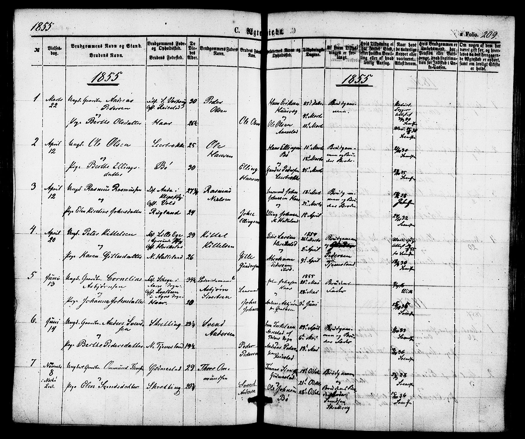 Hå sokneprestkontor, SAST/A-101801/001/30BA/L0009: Parish register (official) no. A 8, 1855-1878, p. 209