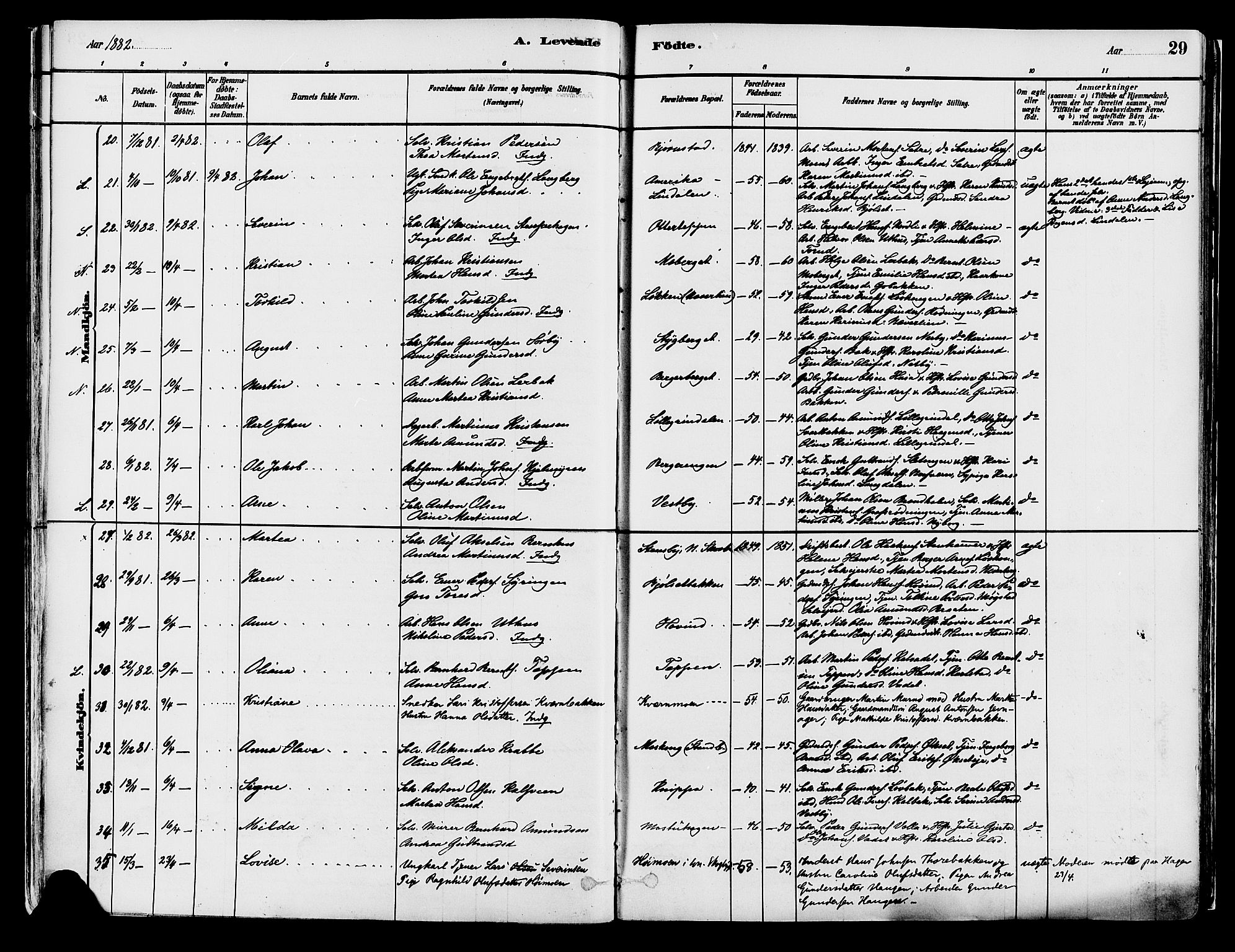 Elverum prestekontor, AV/SAH-PREST-044/H/Ha/Haa/L0013: Parish register (official) no. 13, 1880-1890, p. 29