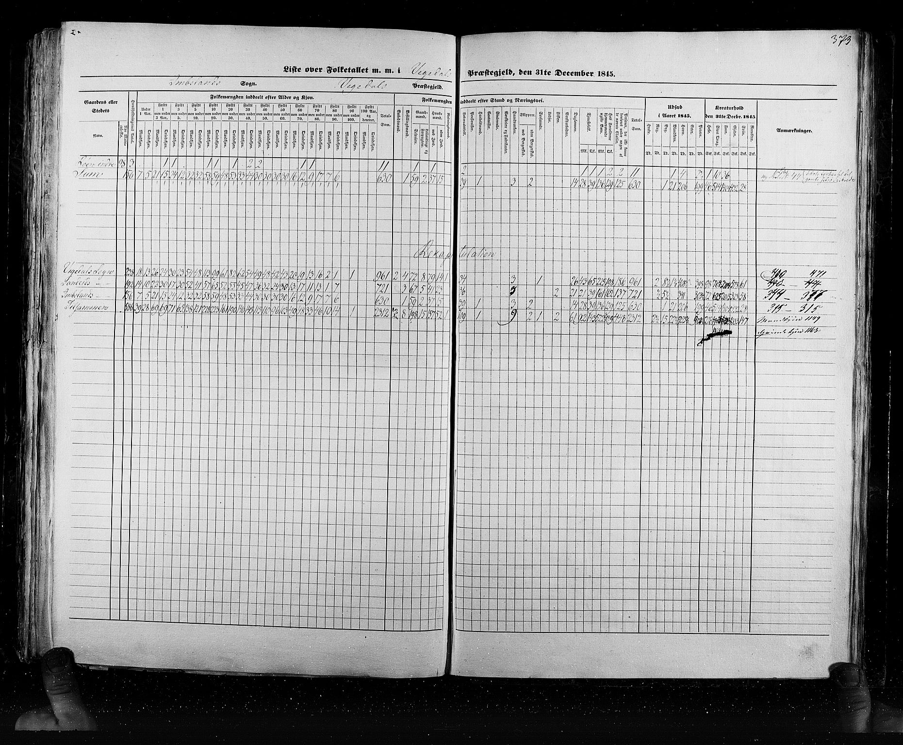 RA, Census 1845, vol. 6: Lister og Mandal amt og Stavanger amt, 1845, p. 373