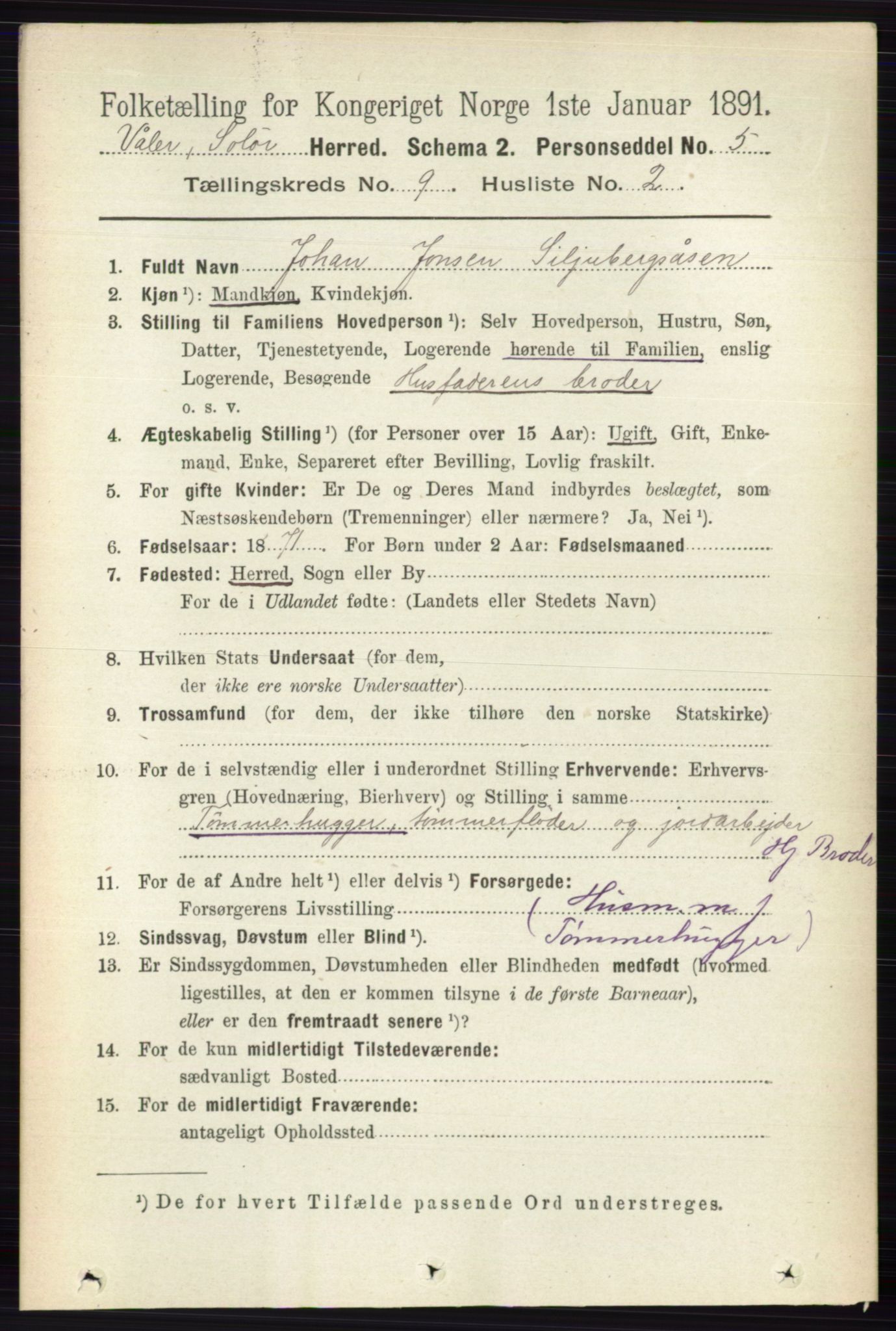 RA, 1891 census for 0426 Våler, 1891, p. 3864