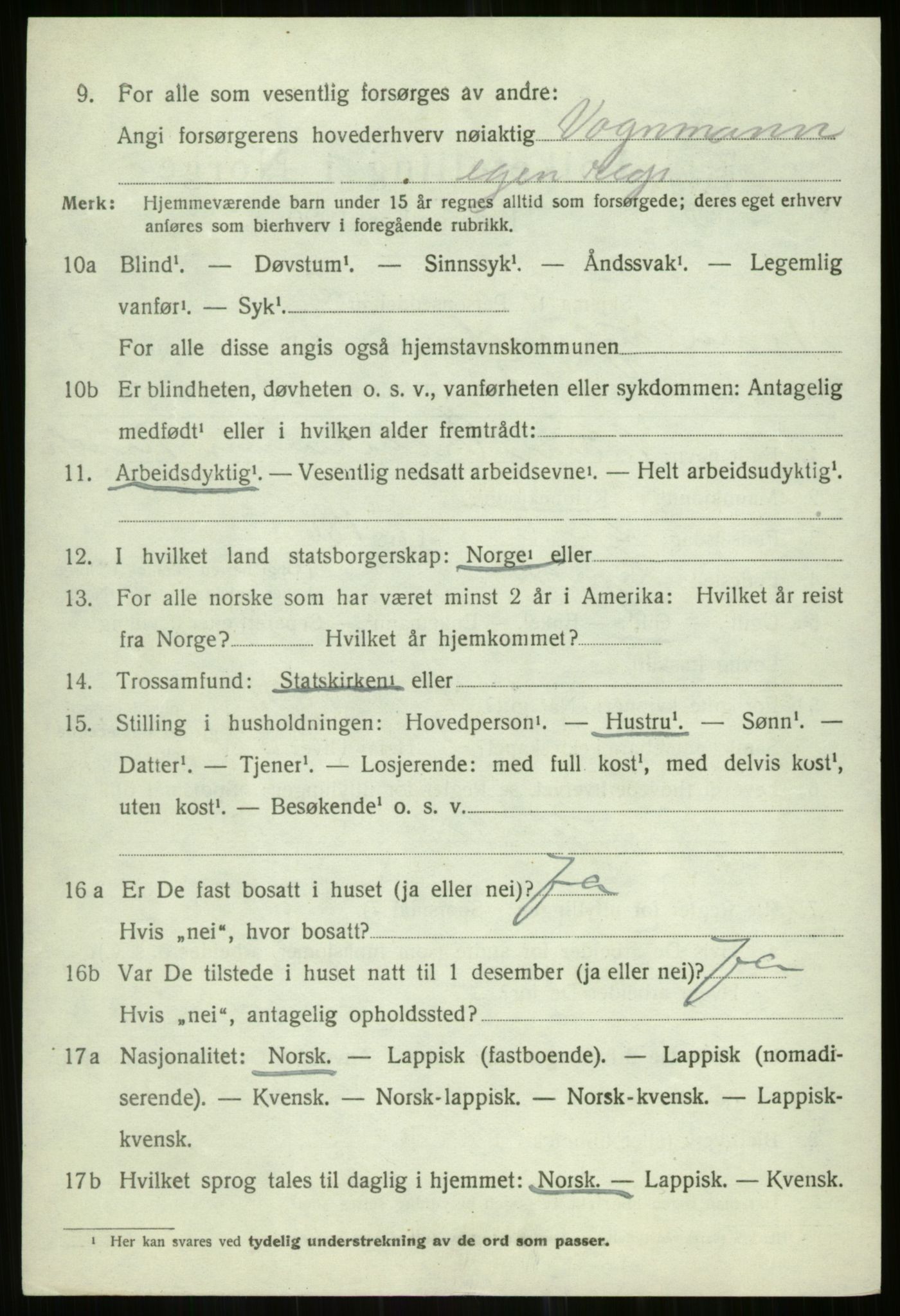 SATØ, 1920 census for Tromsøysund, 1920, p. 14223